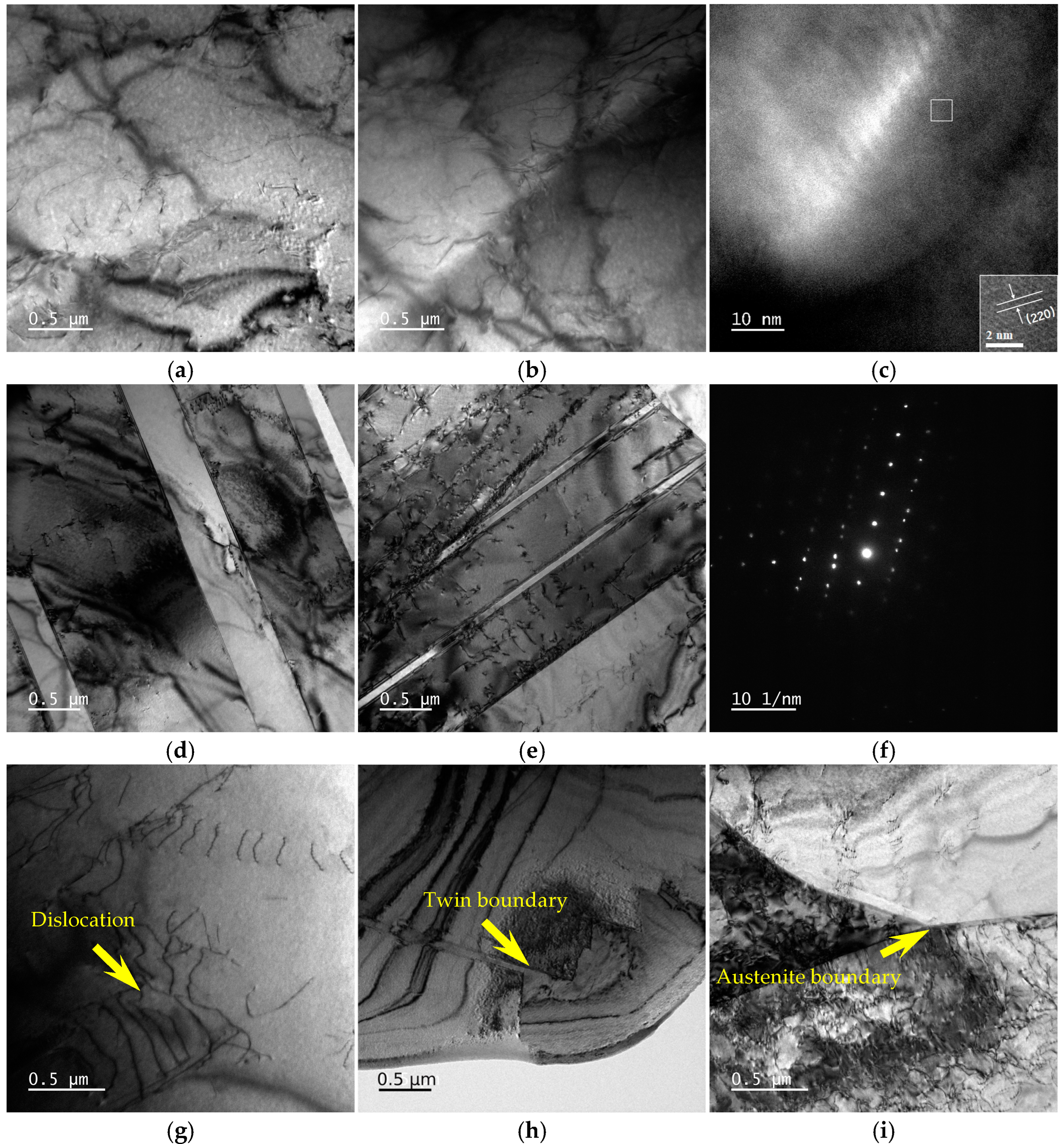 Metals 15 01025 g009