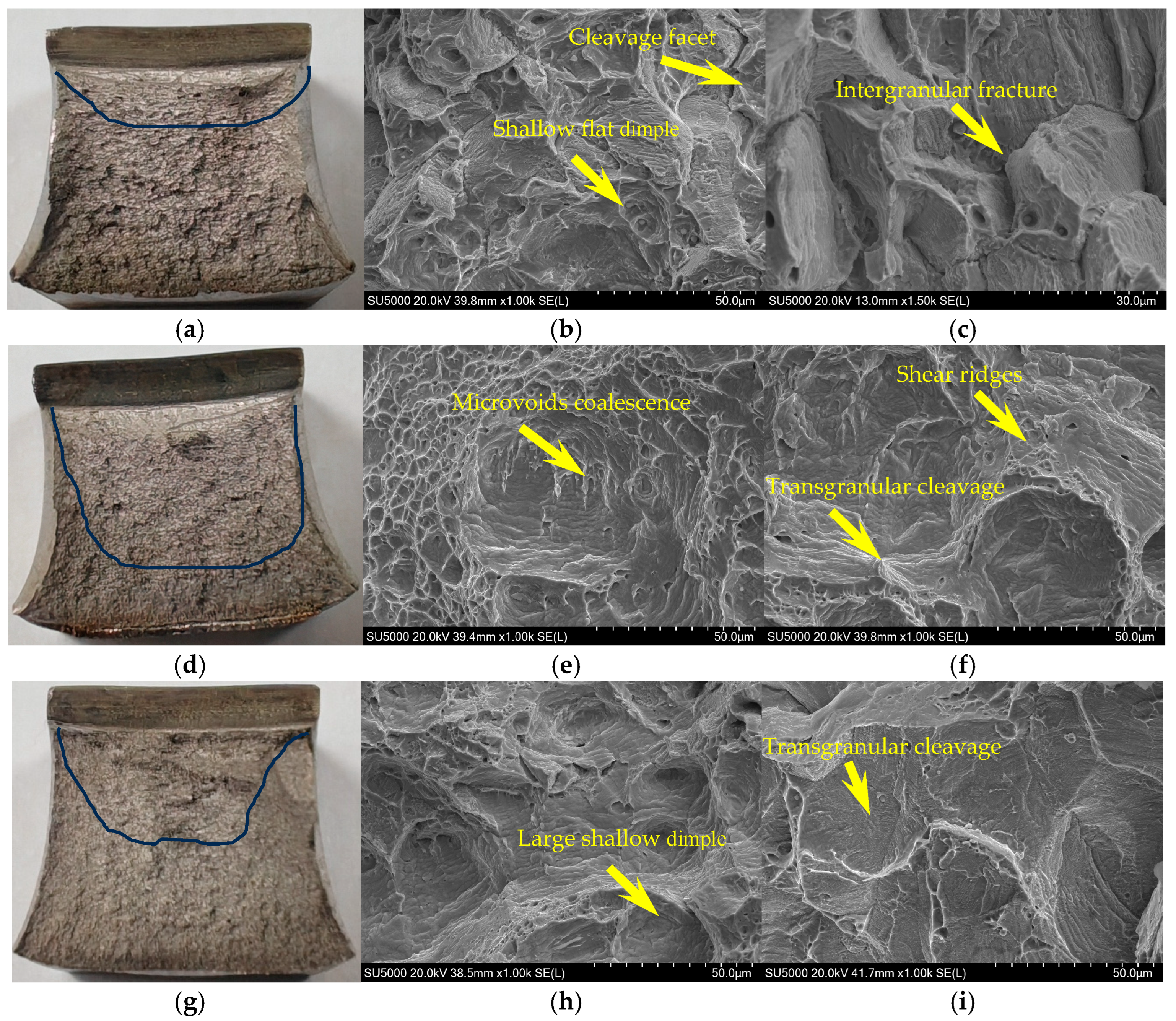 Metals 15 01025 g011
