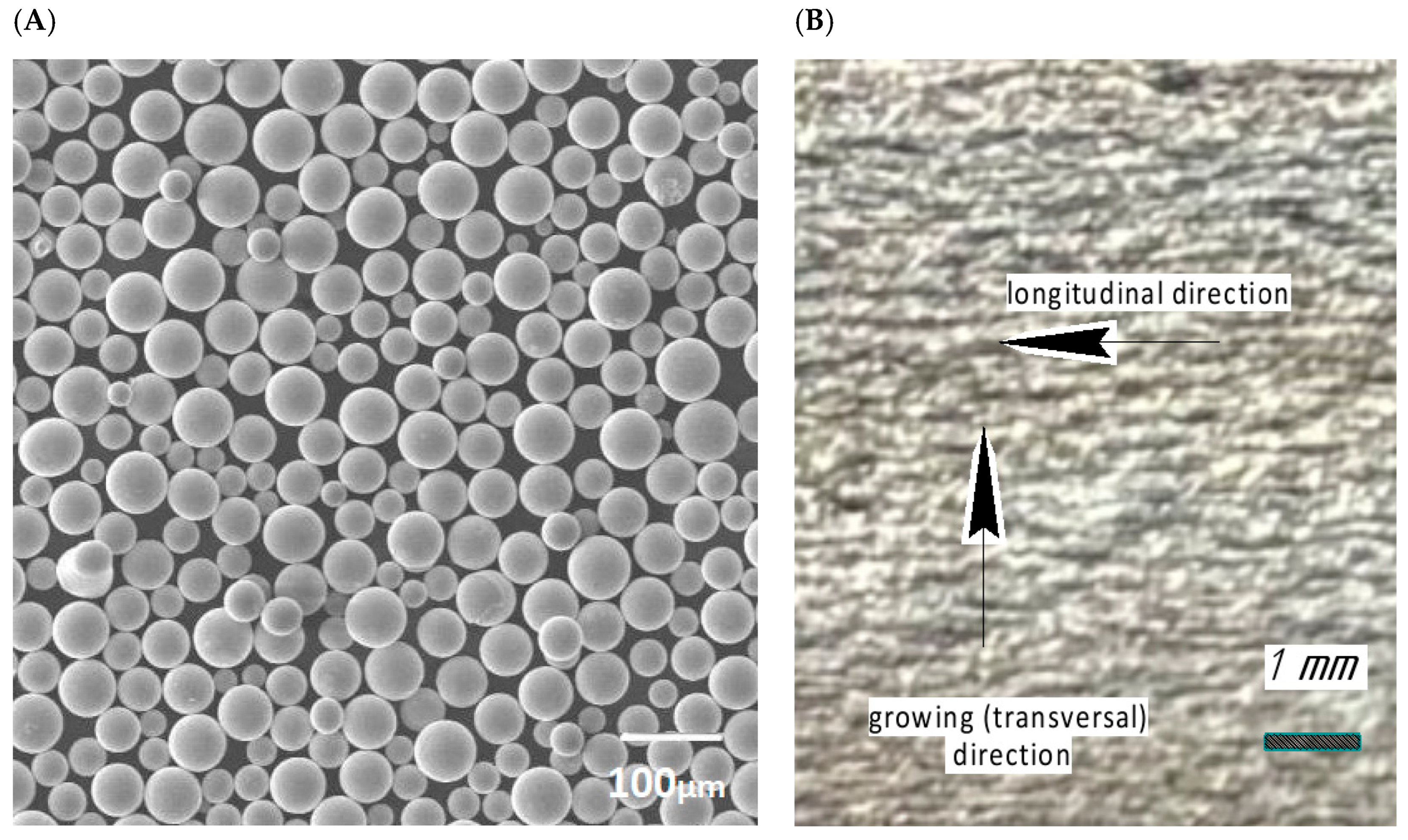 Metals 15 01027 g001