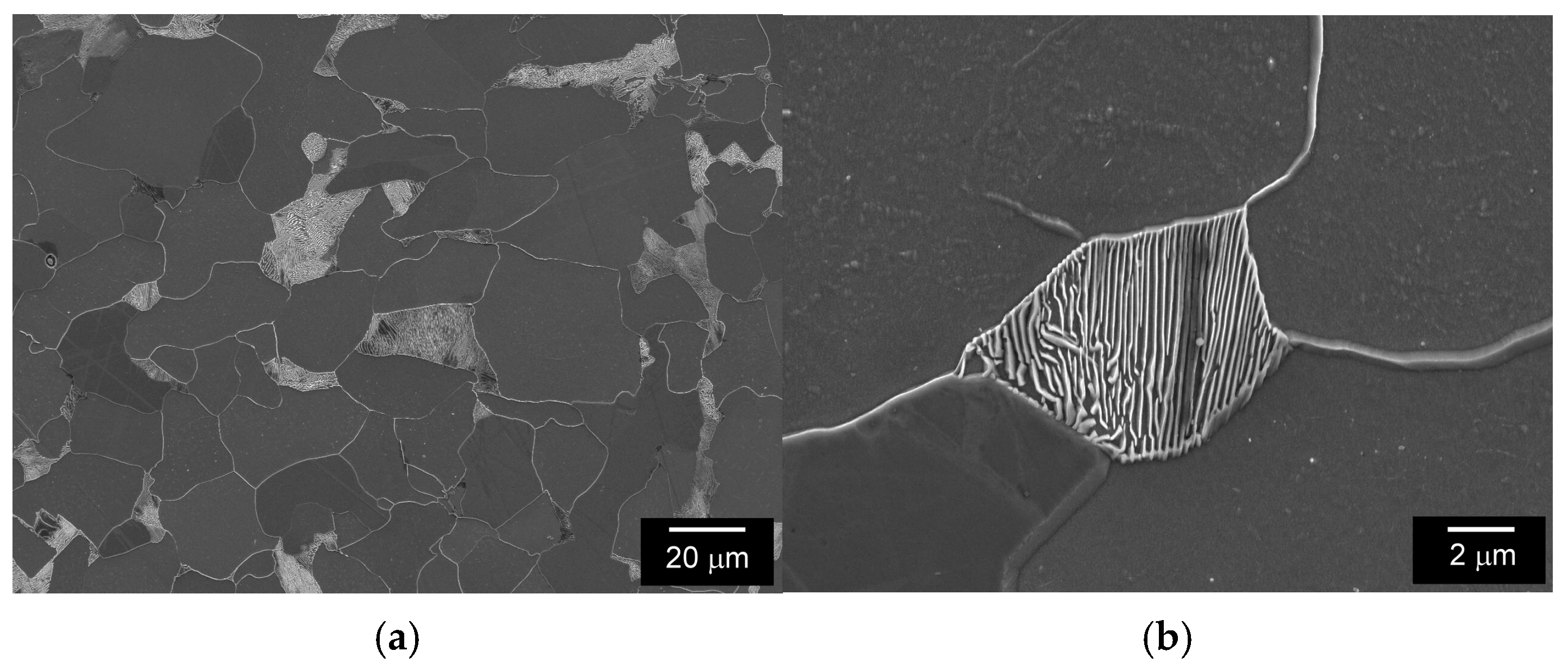 Metals 15 01032 g002a