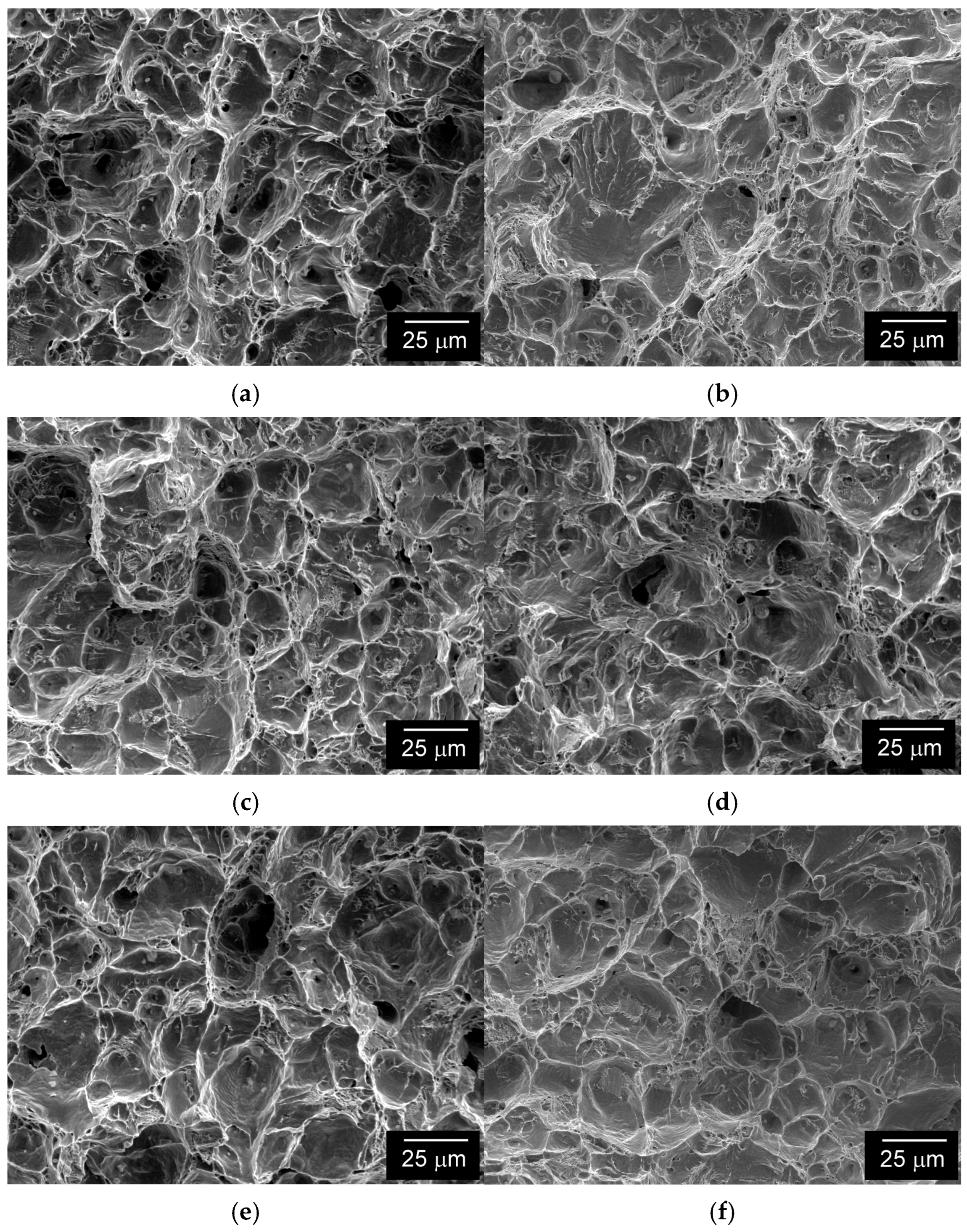 Metals 15 01032 g012