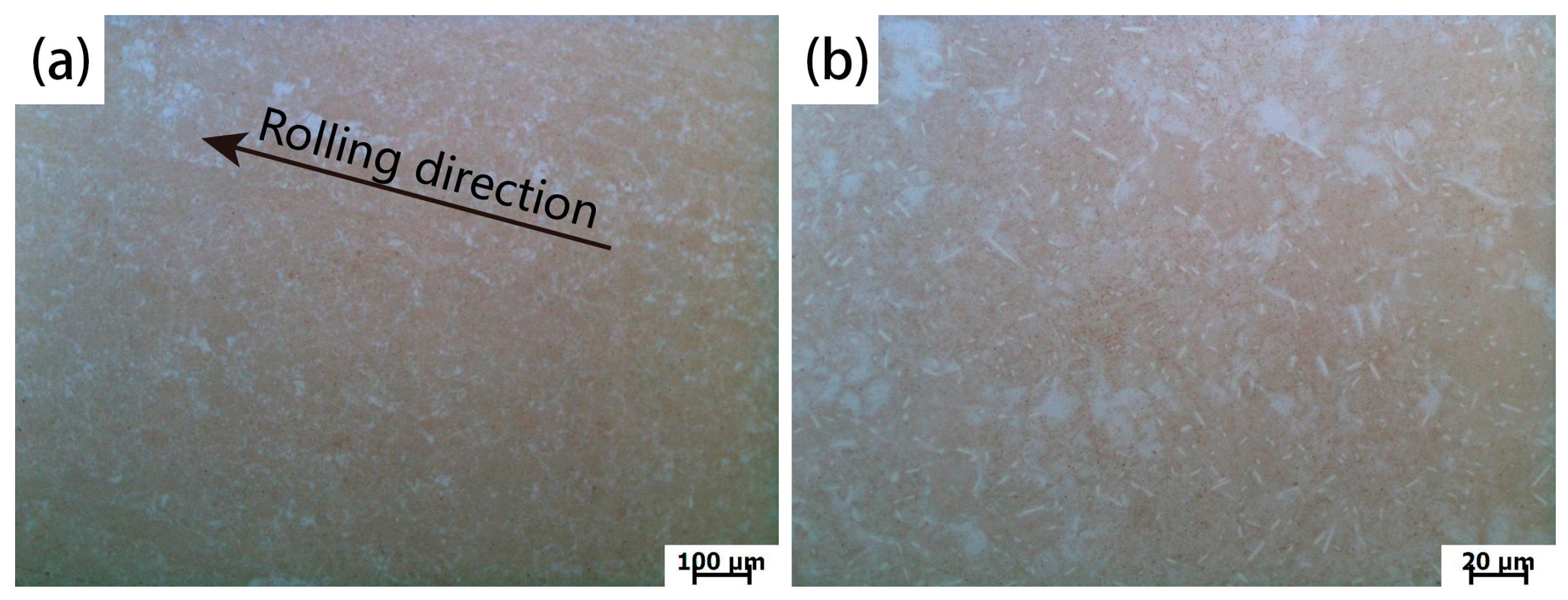 Metals 15 01033 g001