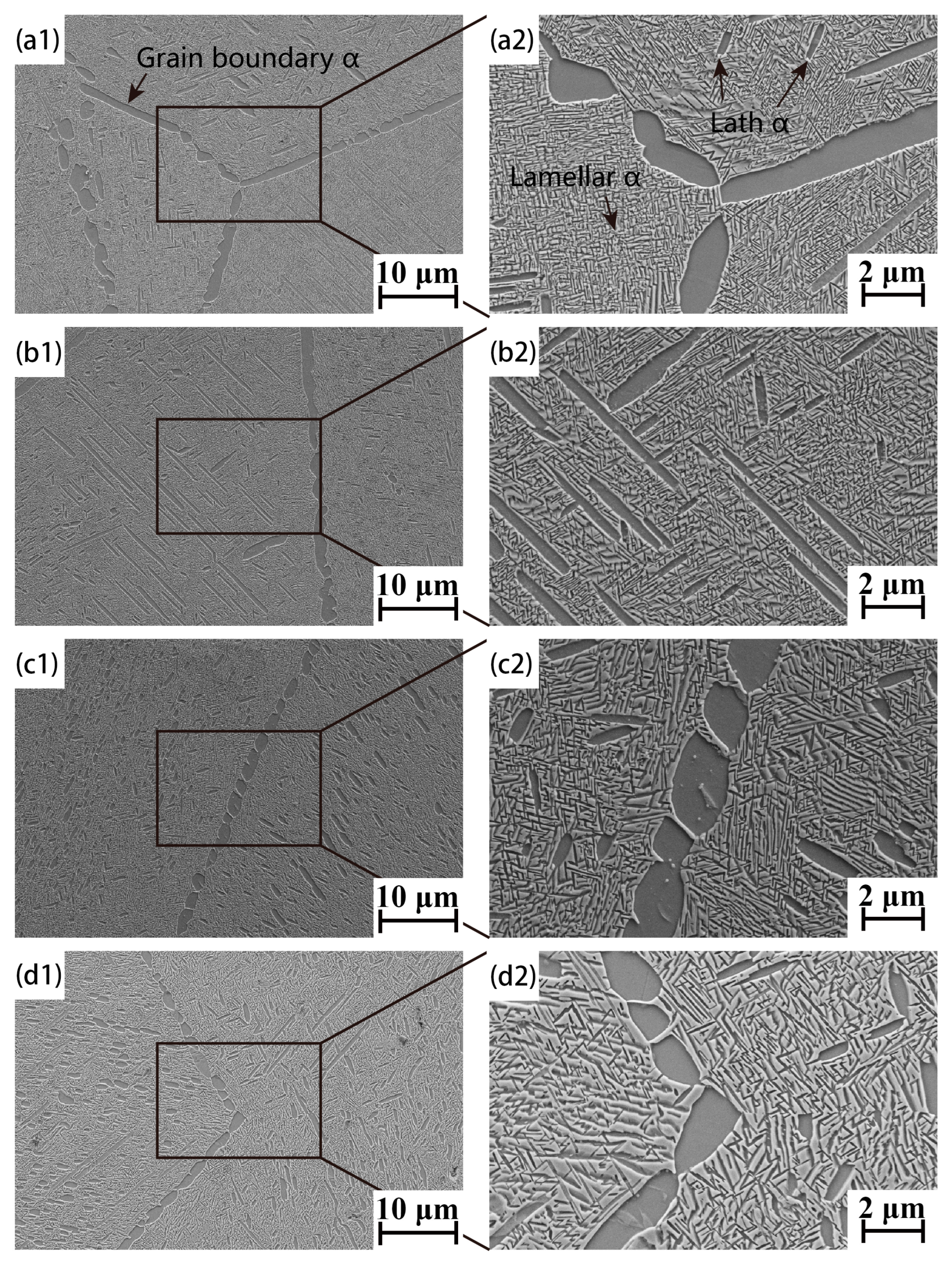 Metals 15 01033 g009