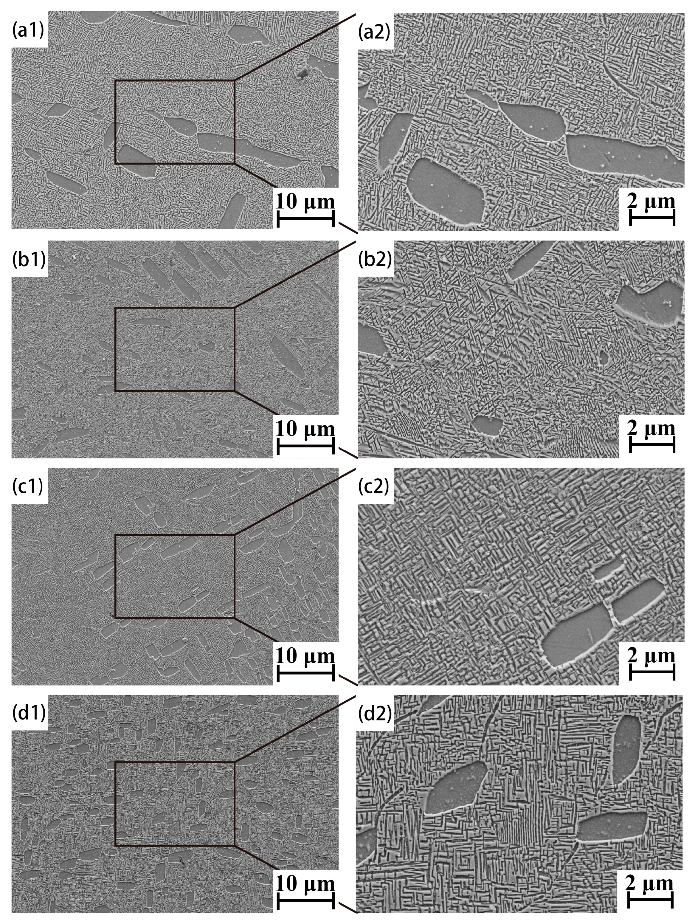 Metals 15 01033 g010