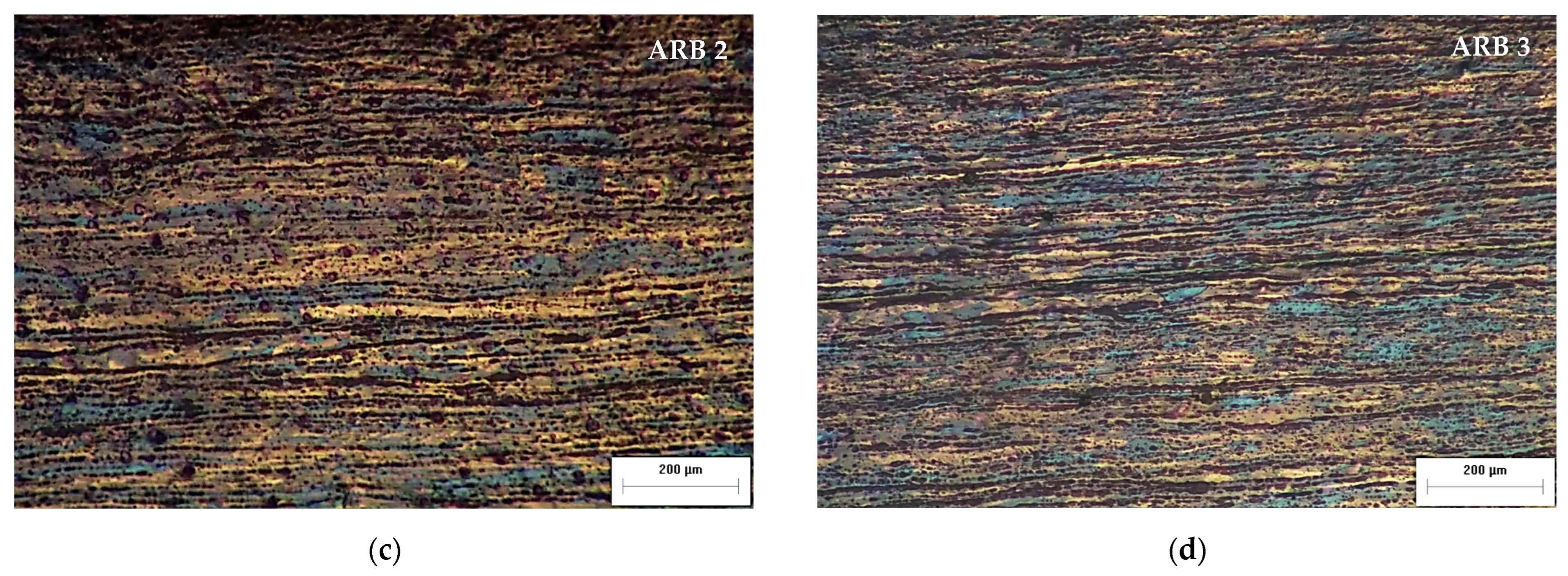 Metals 15 01042 g005b