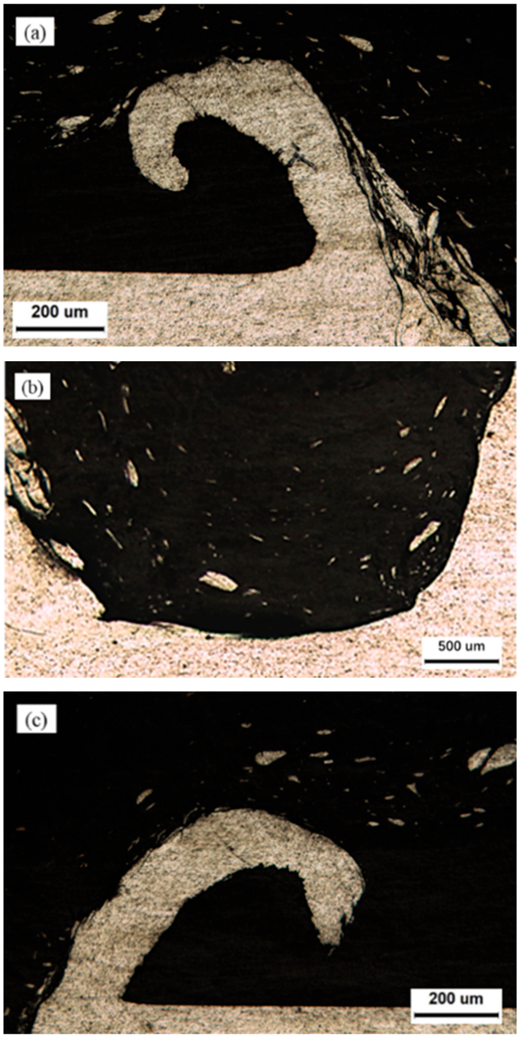 Metals 15 01049 g010 Metals 15 01049 g010