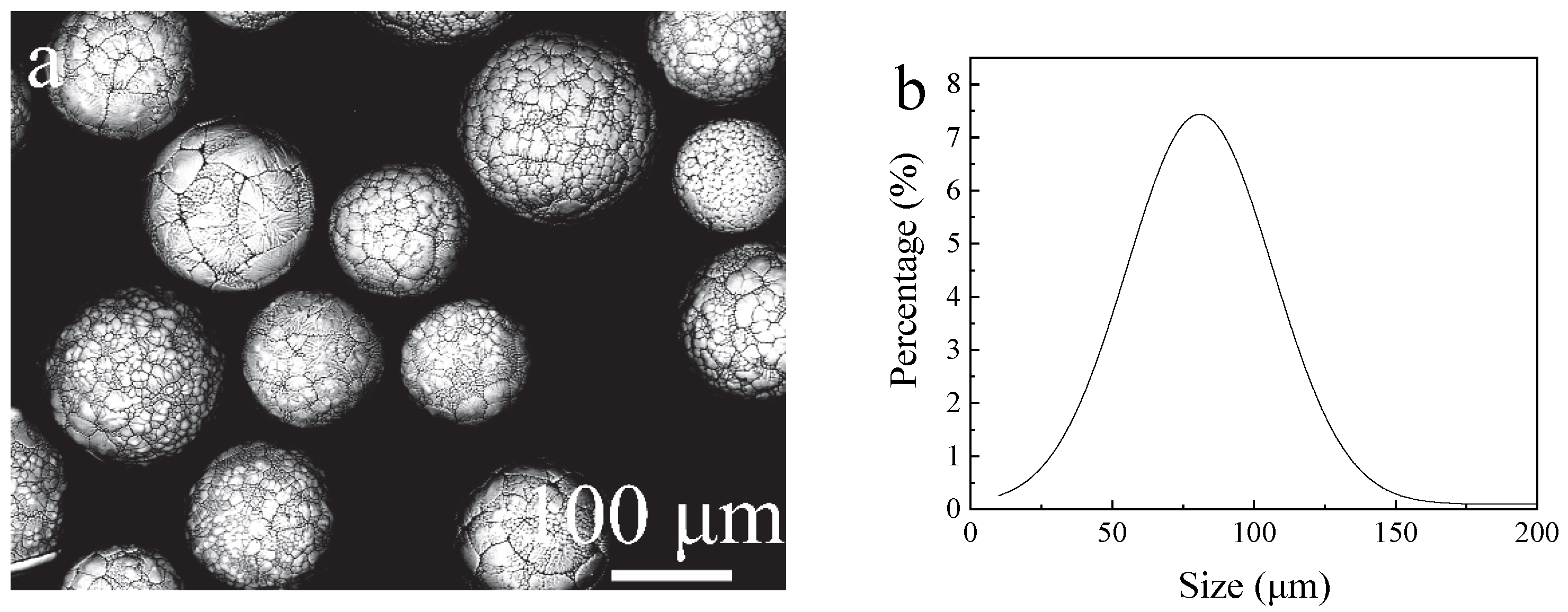 Metals 15 01050 g001