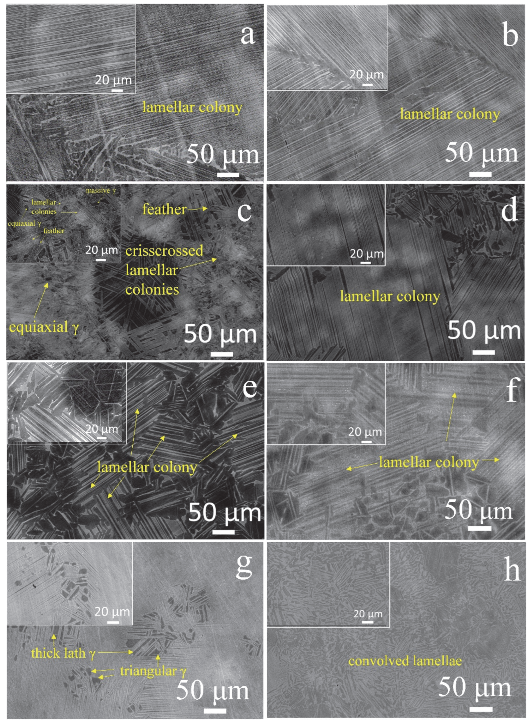 Metals 15 01050 g006