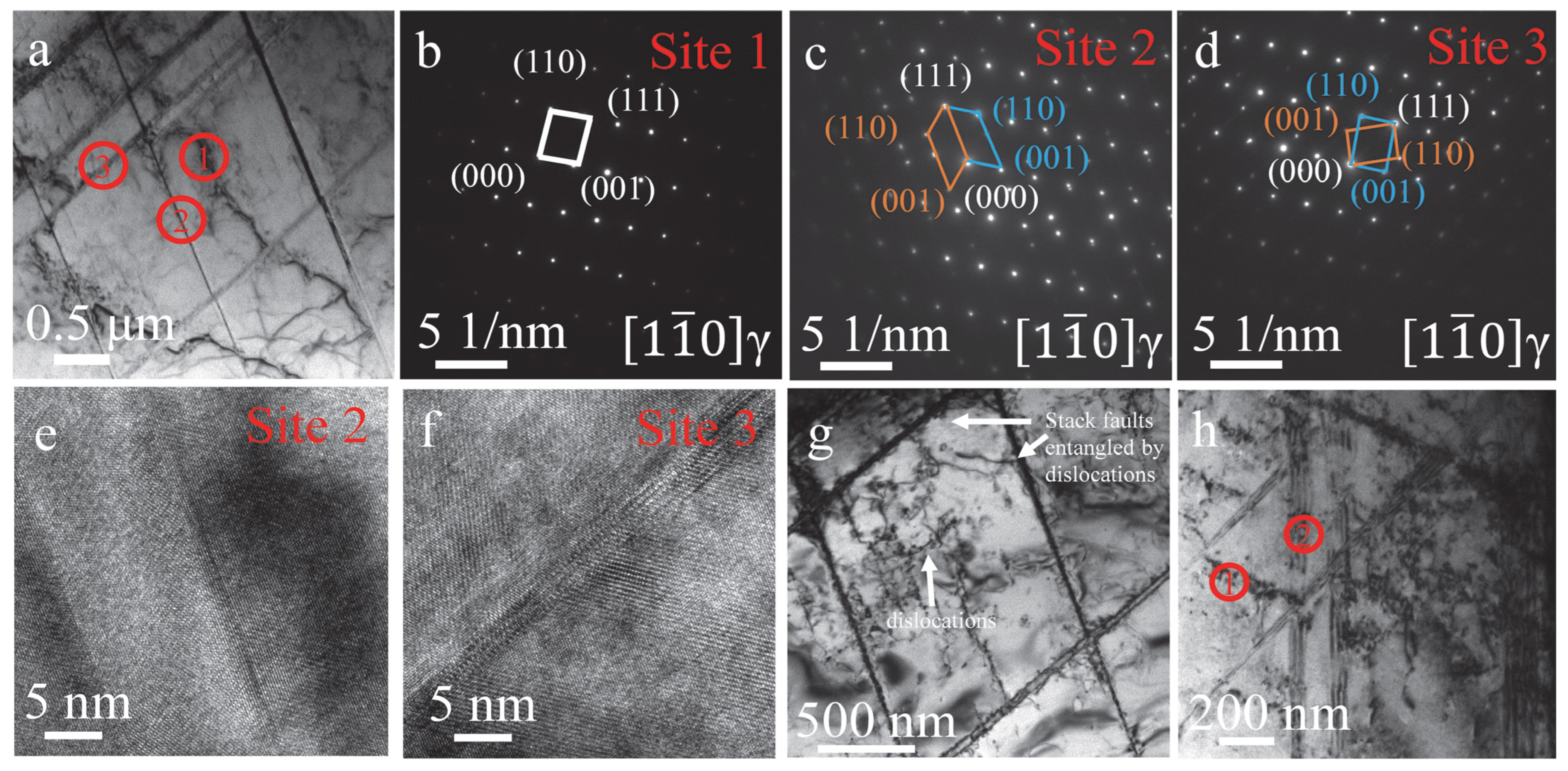 Metals 15 01050 g007