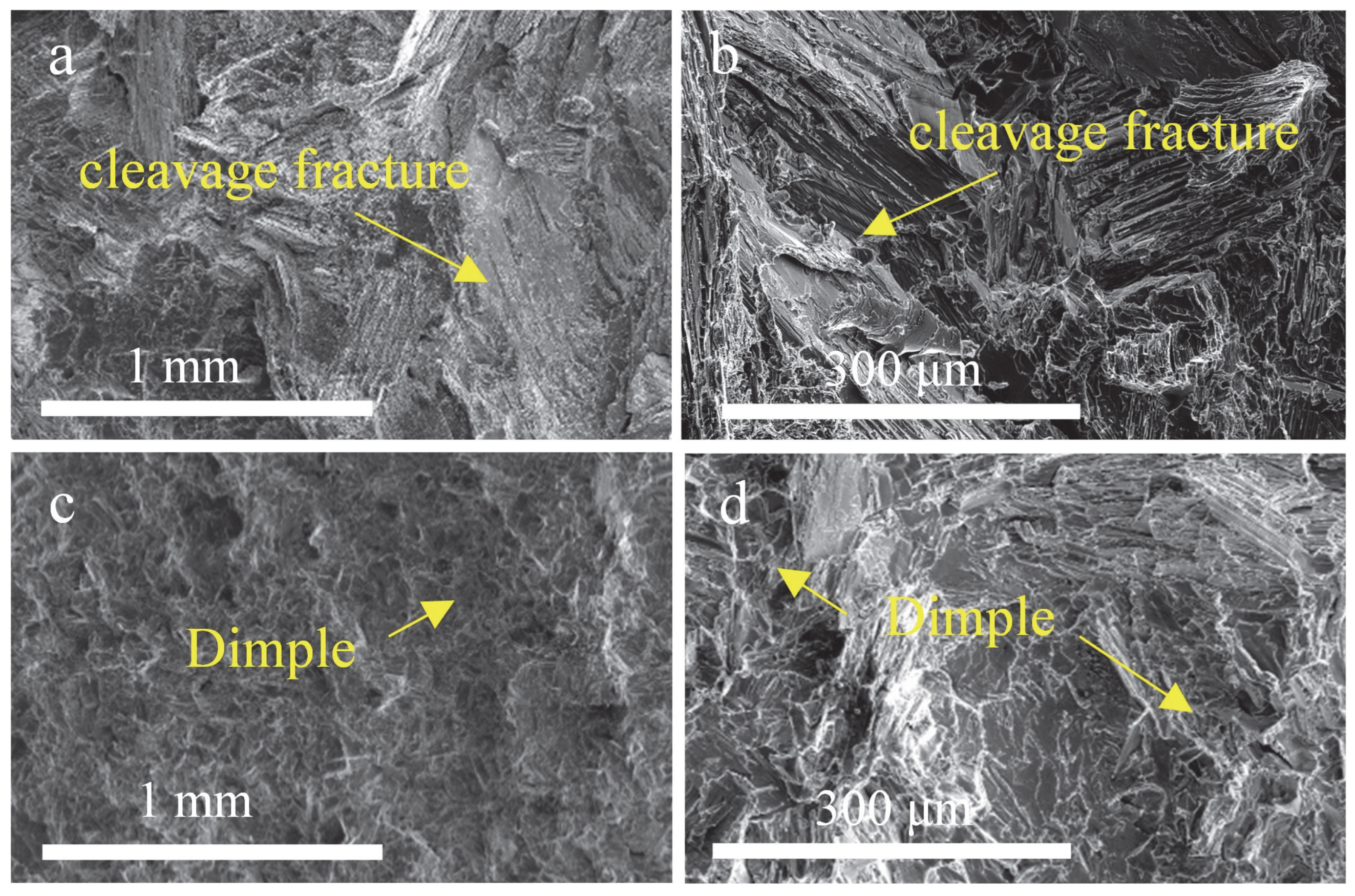 Metals 15 01050 g013