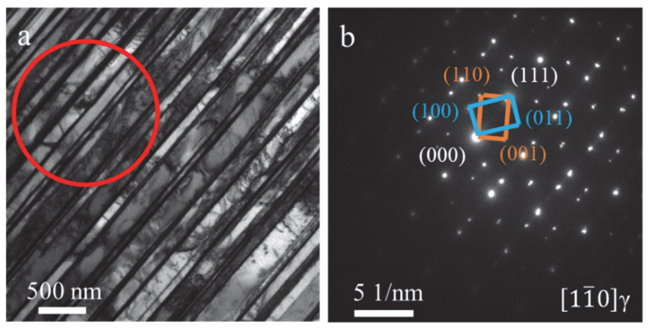 Metals 15 01050 g016