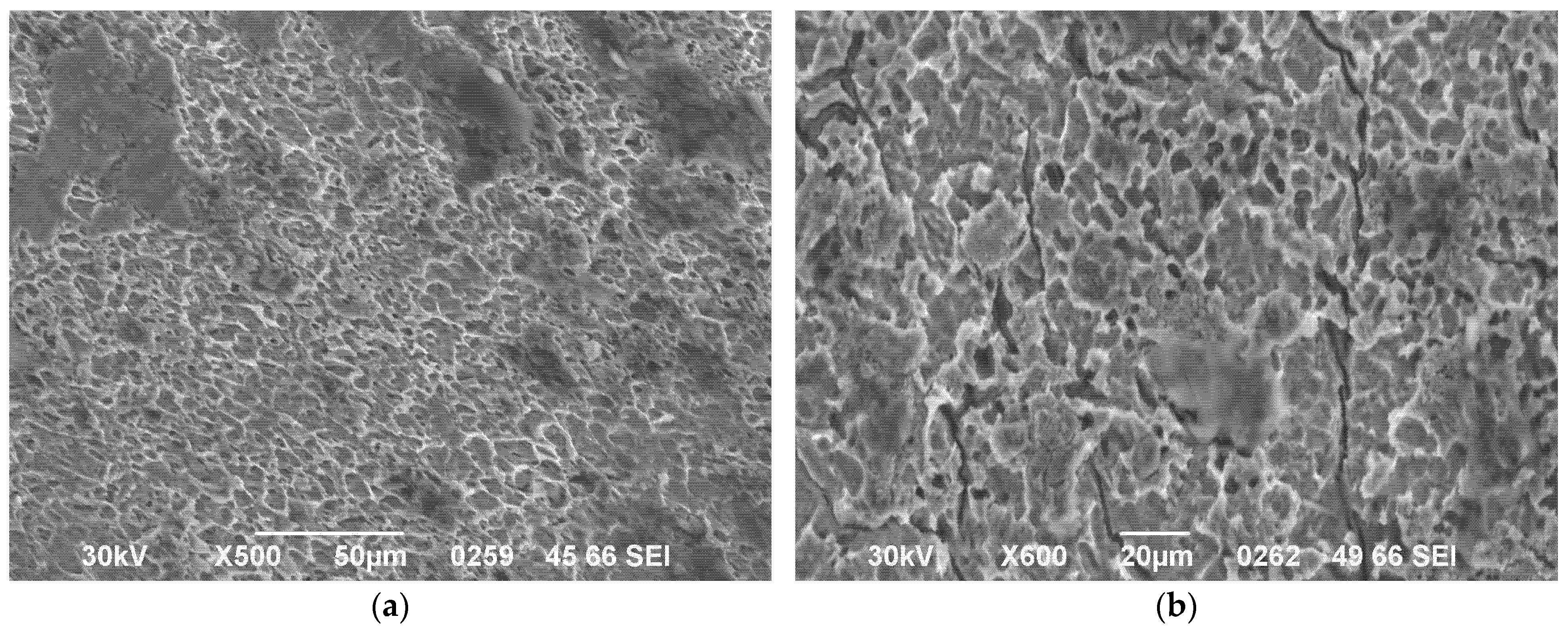 Metals 15 01052 g005