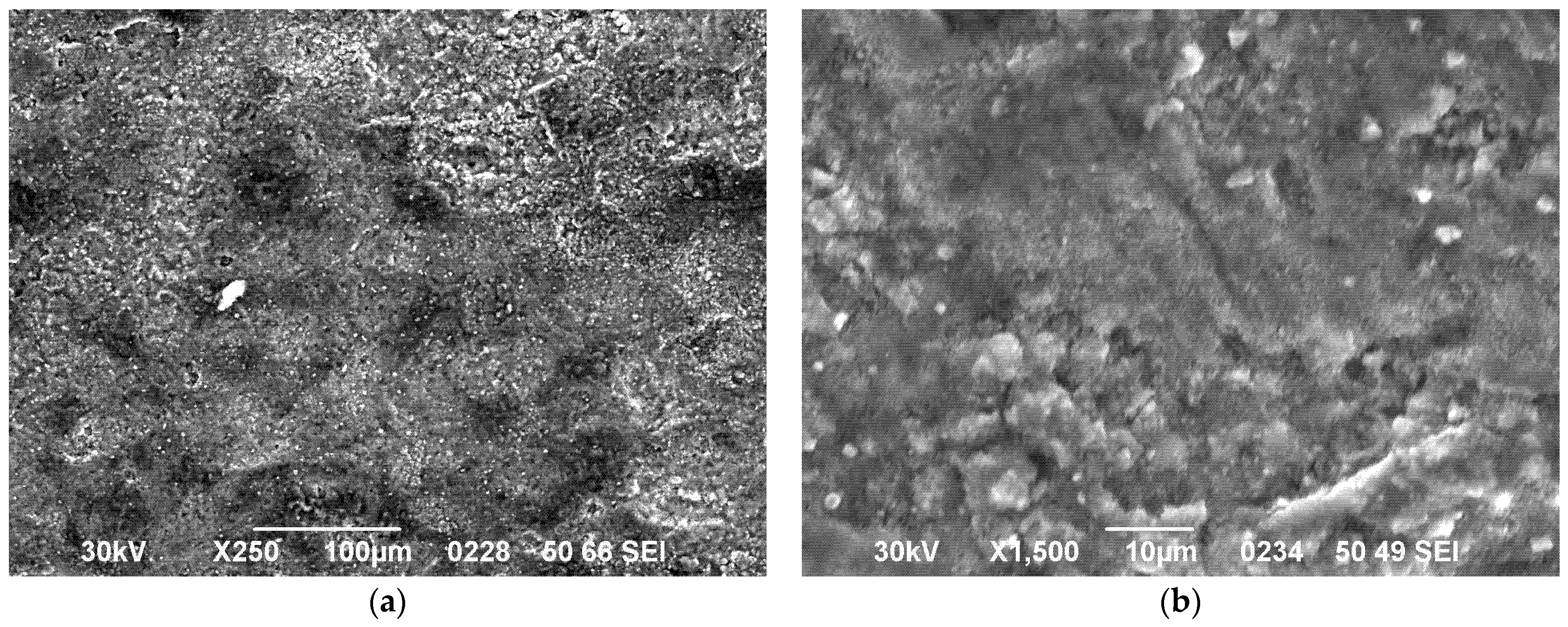 Metals 15 01052 g006