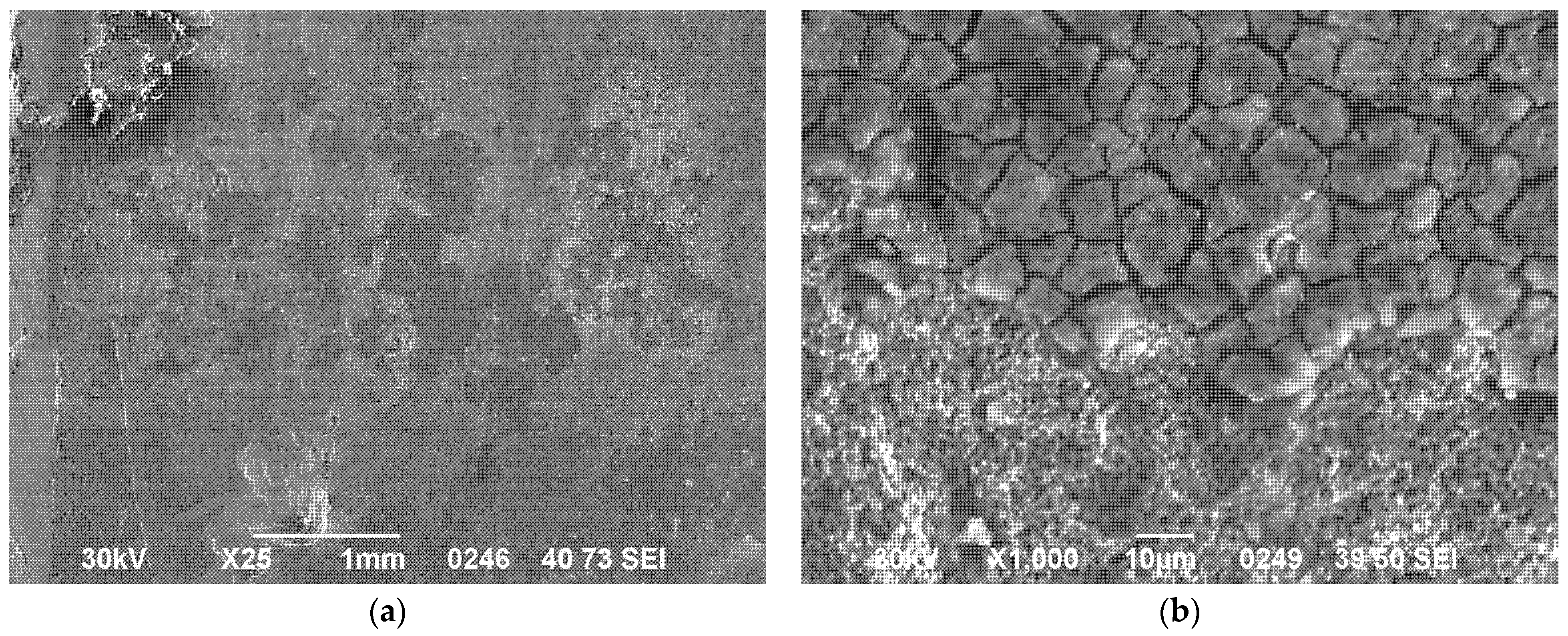 Metals 15 01052 g007