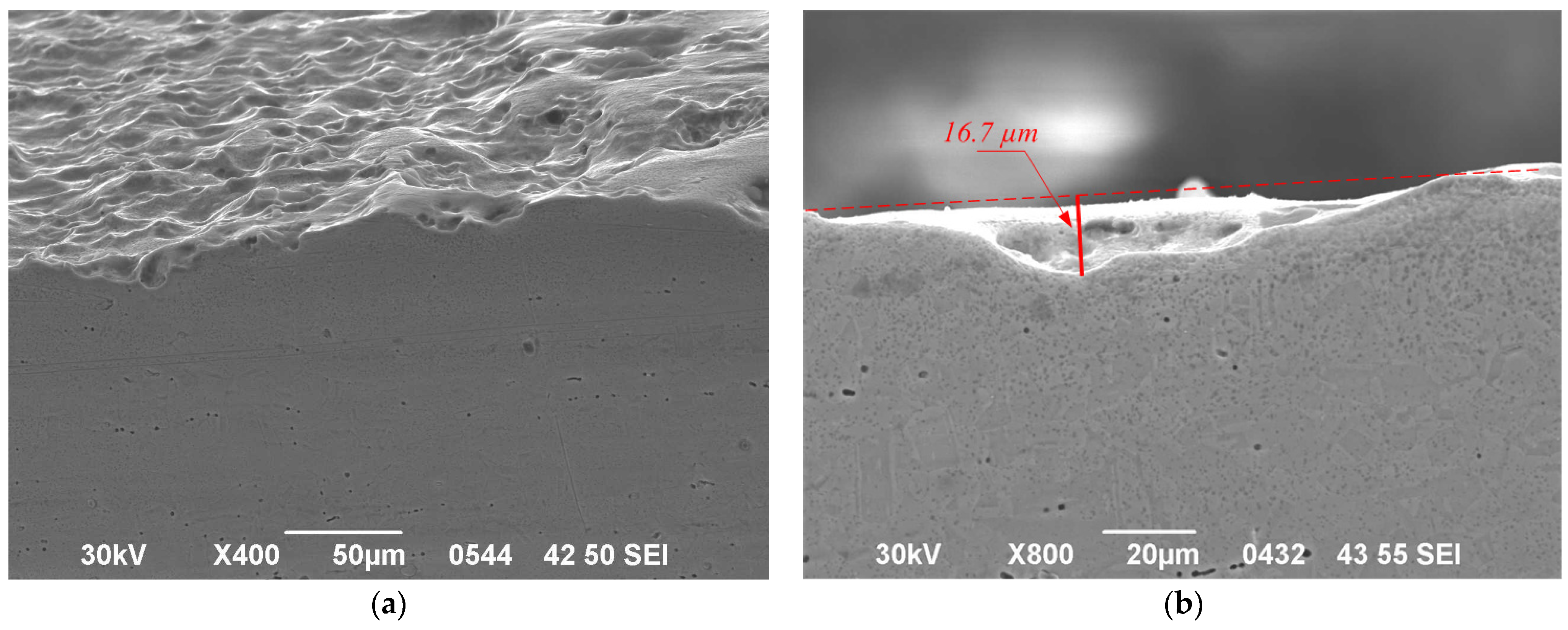 Metals 15 01052 g010