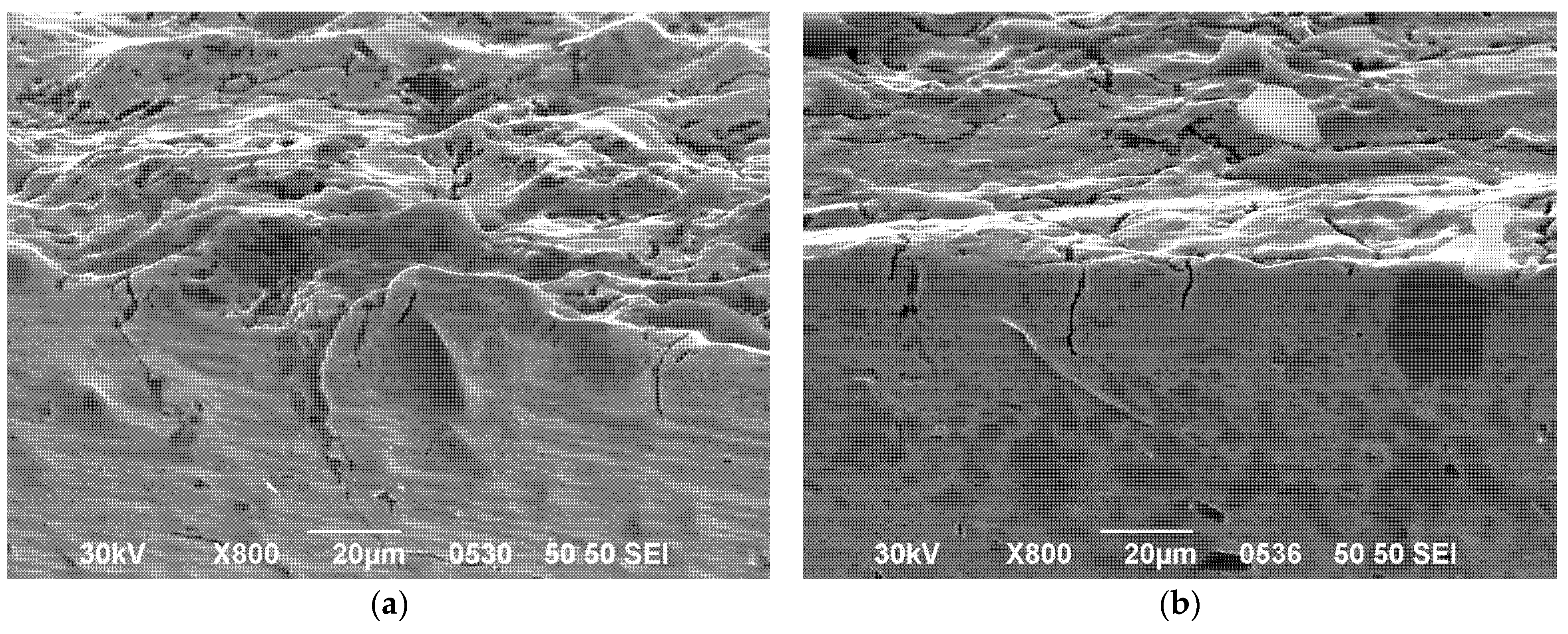 Metals 15 01052 g011