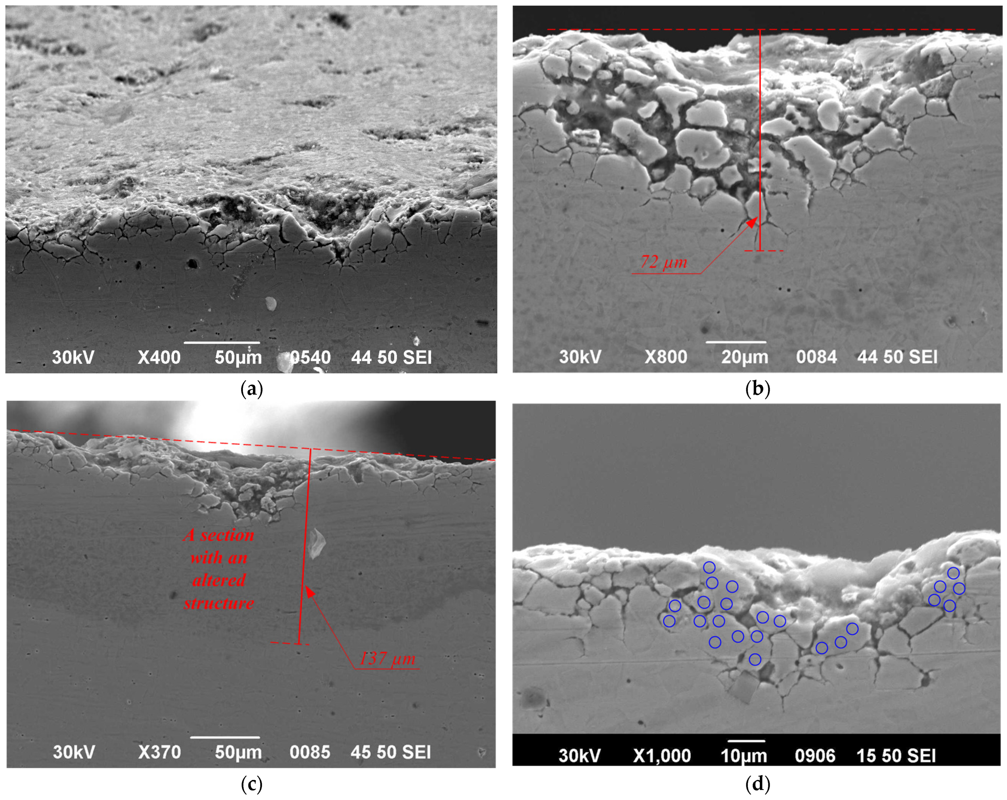 Metals 15 01052 g012