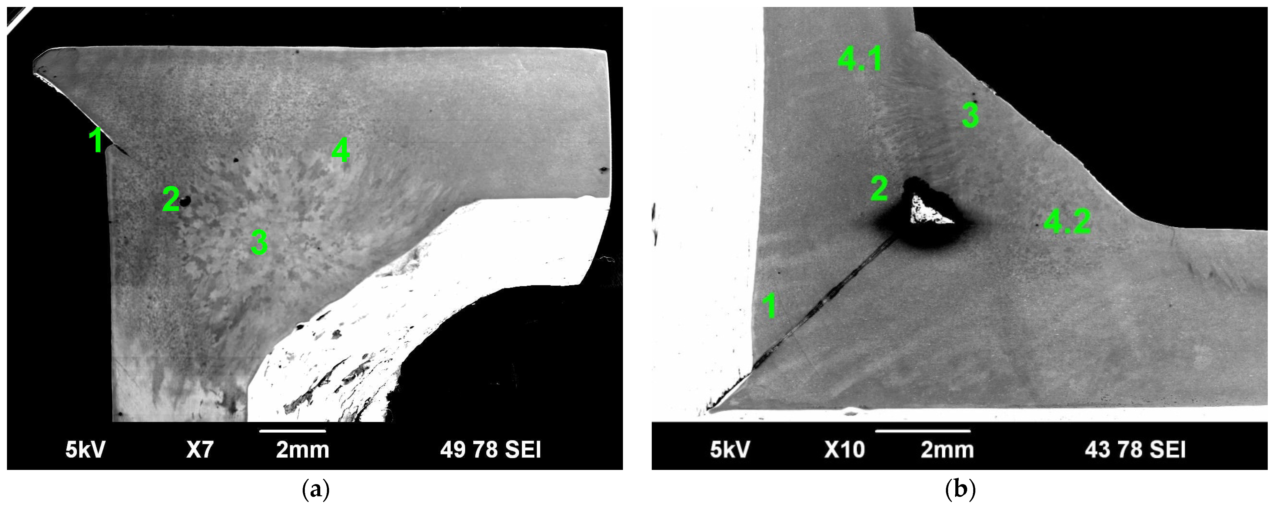 Metals 15 01052 g014