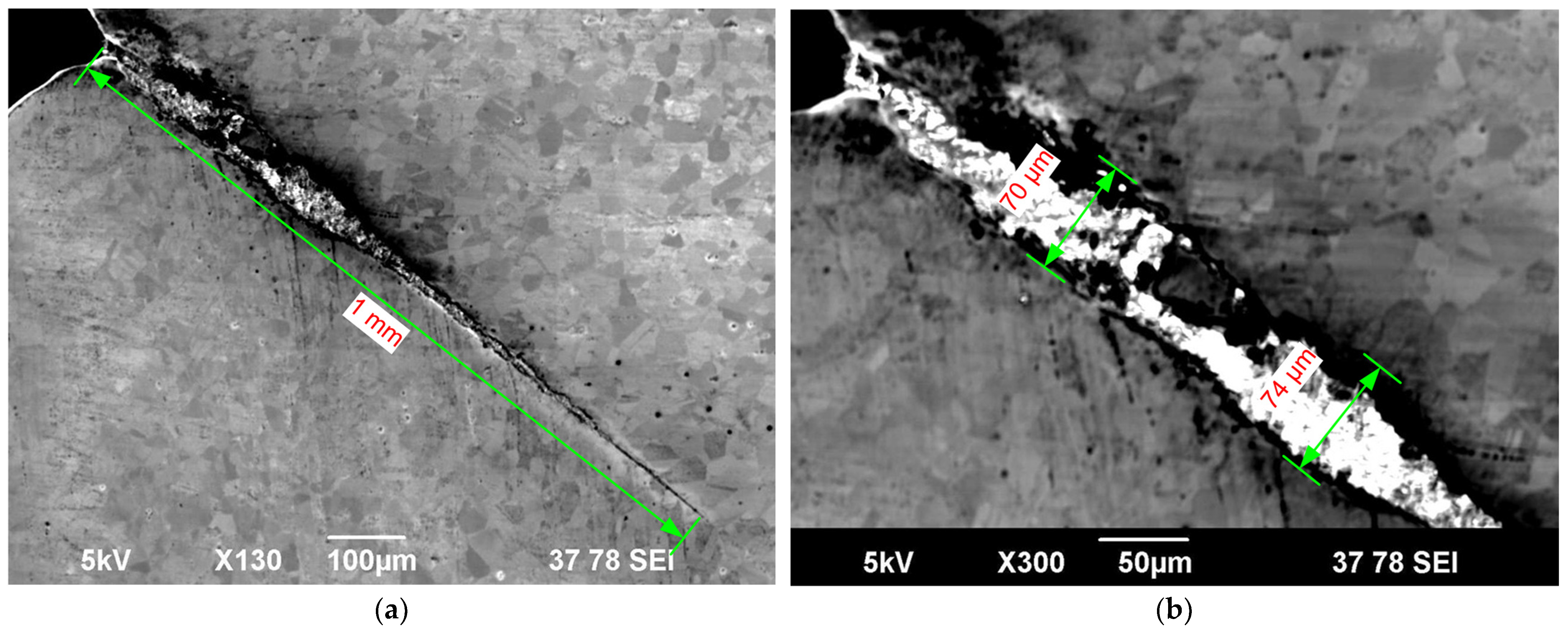 Metals 15 01052 g015