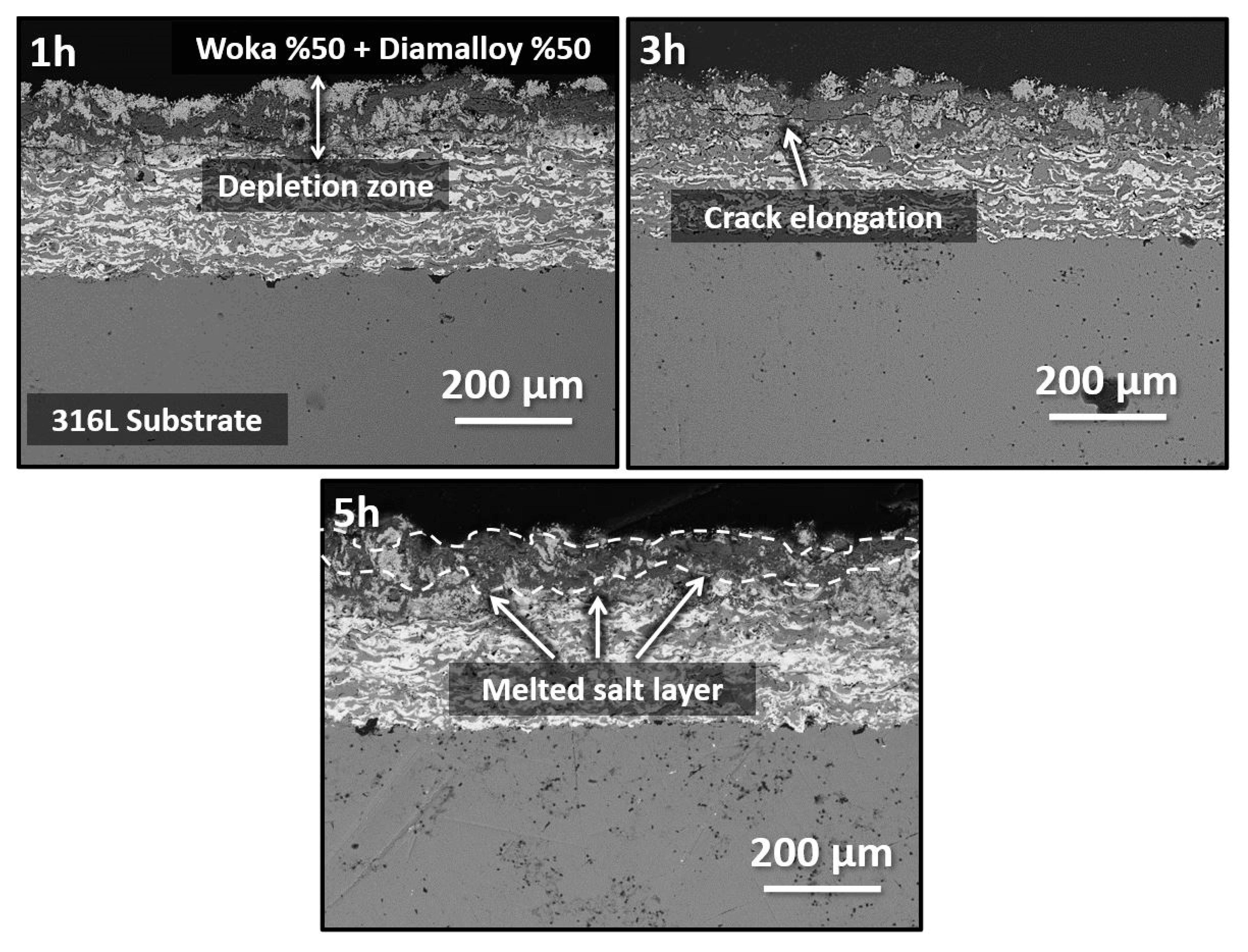 Metals 15 01054 g007