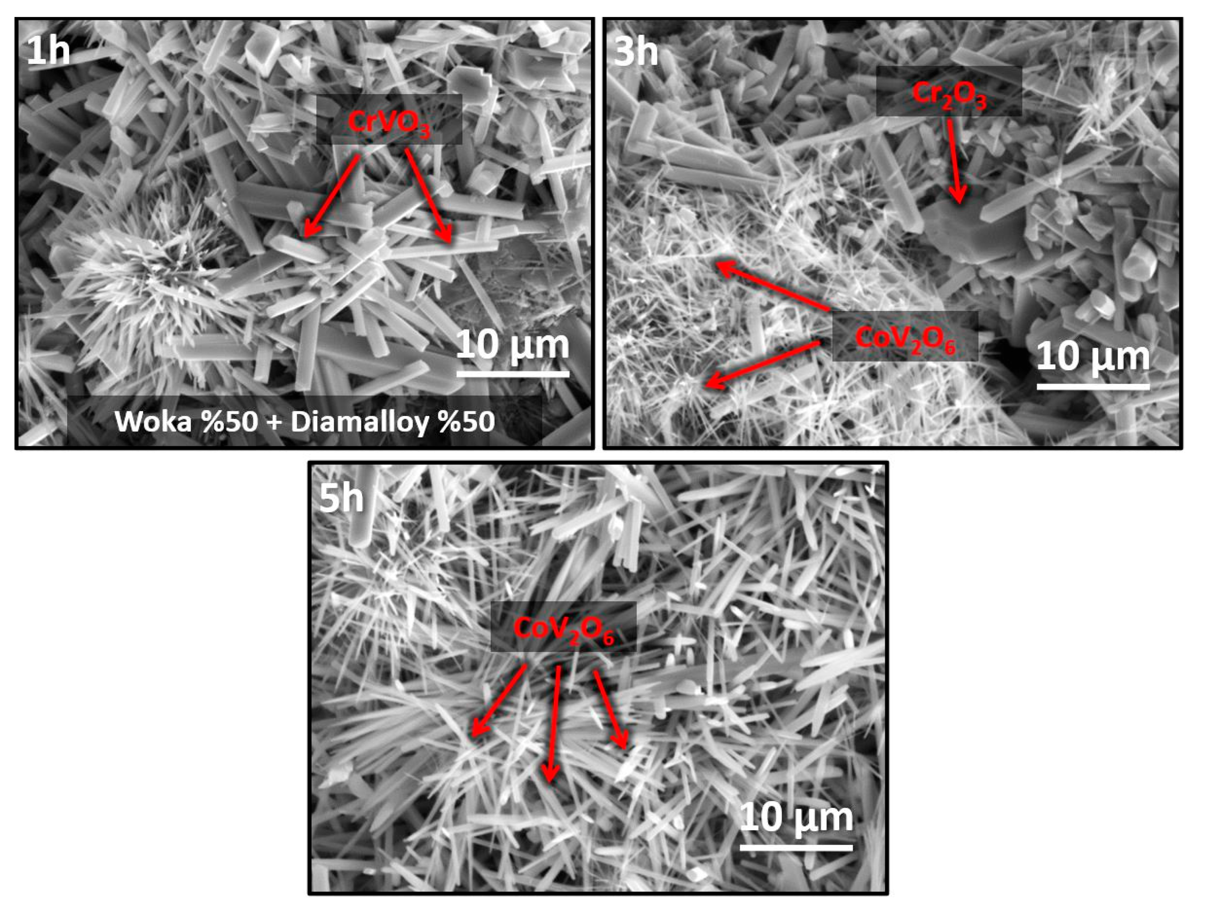 Metals 15 01054 g008