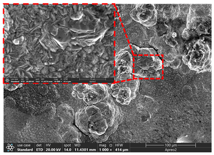 Metals 15 01055 i005