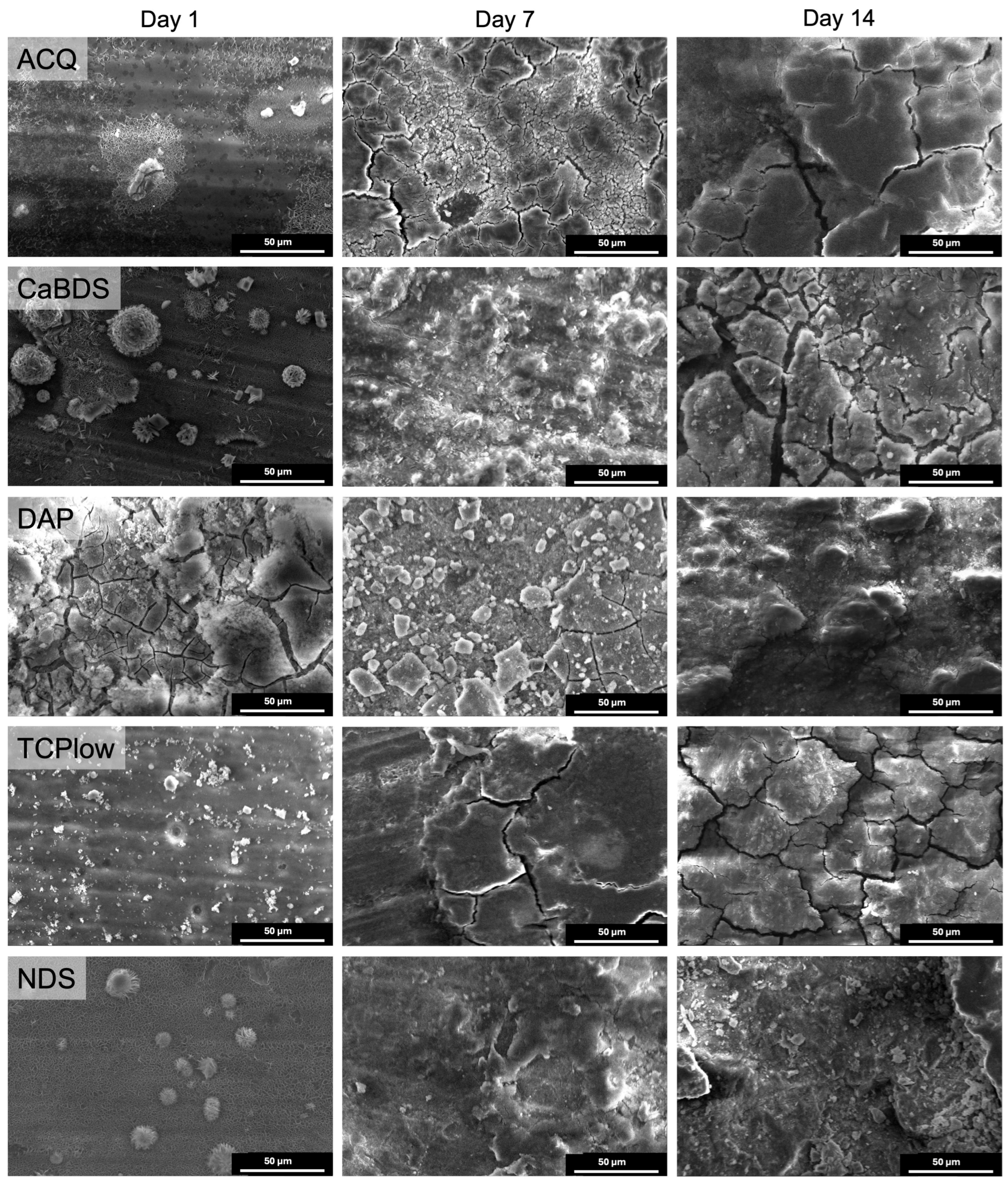 Metals 15 01056 g007