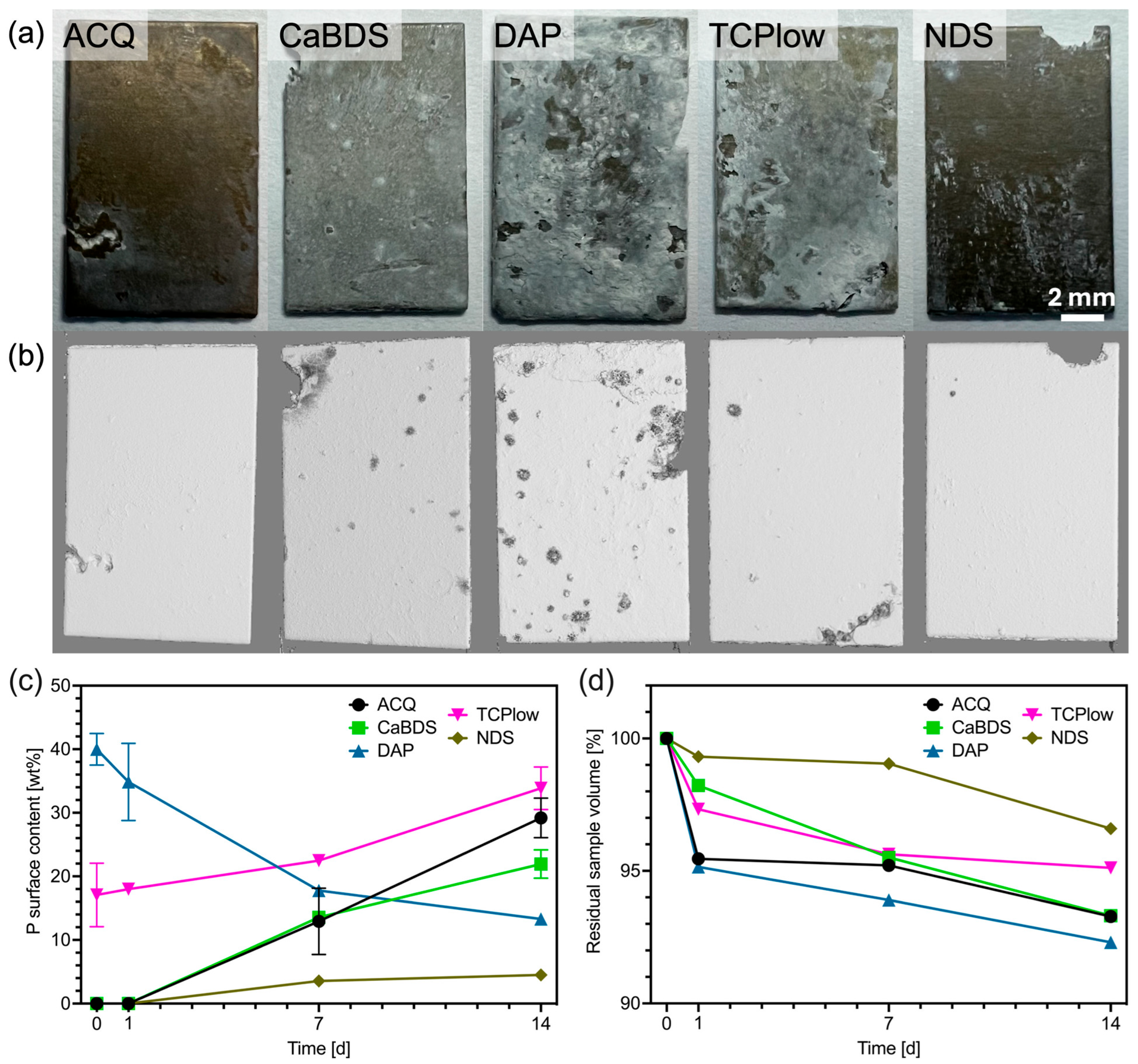 Metals 15 01056 g008