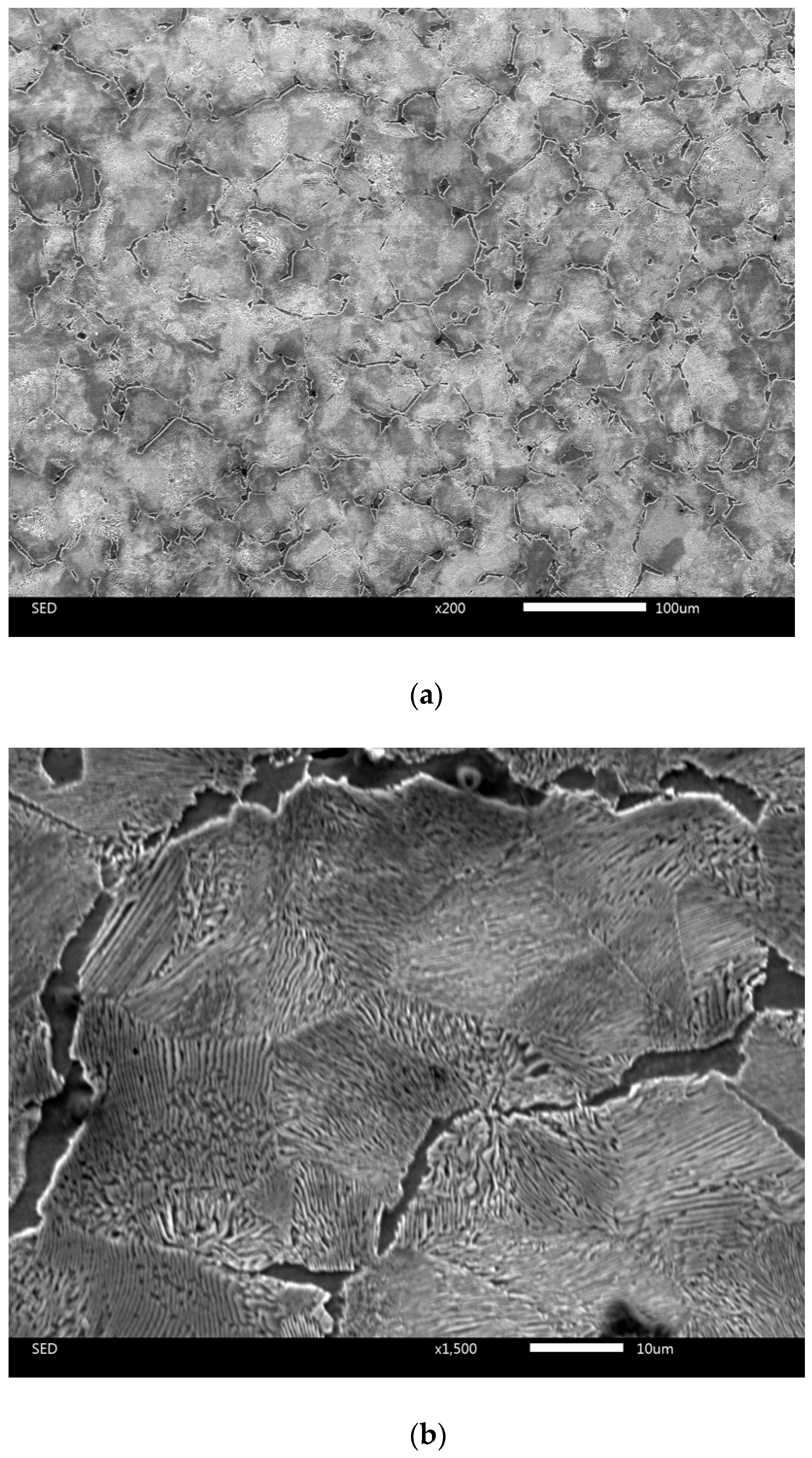 Metals 15 01061 g002 Metals 15 01061 g002