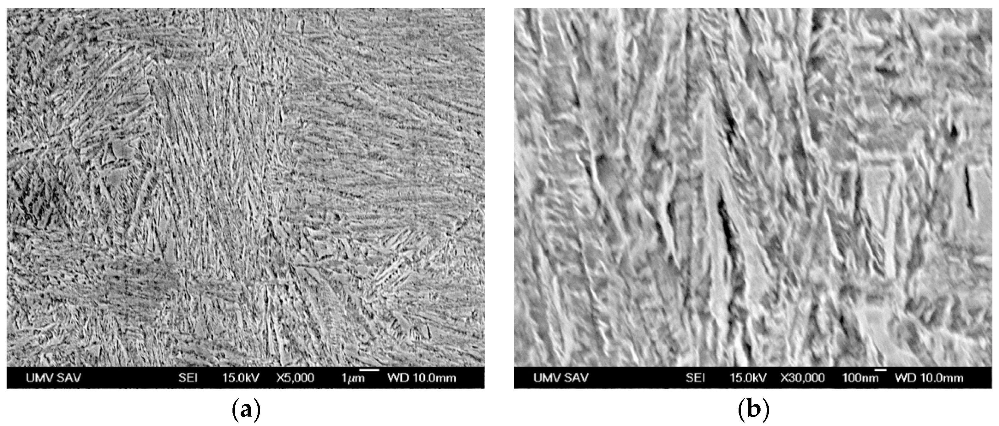 Metals 15 01061 g006 Metals 15 01061 g006