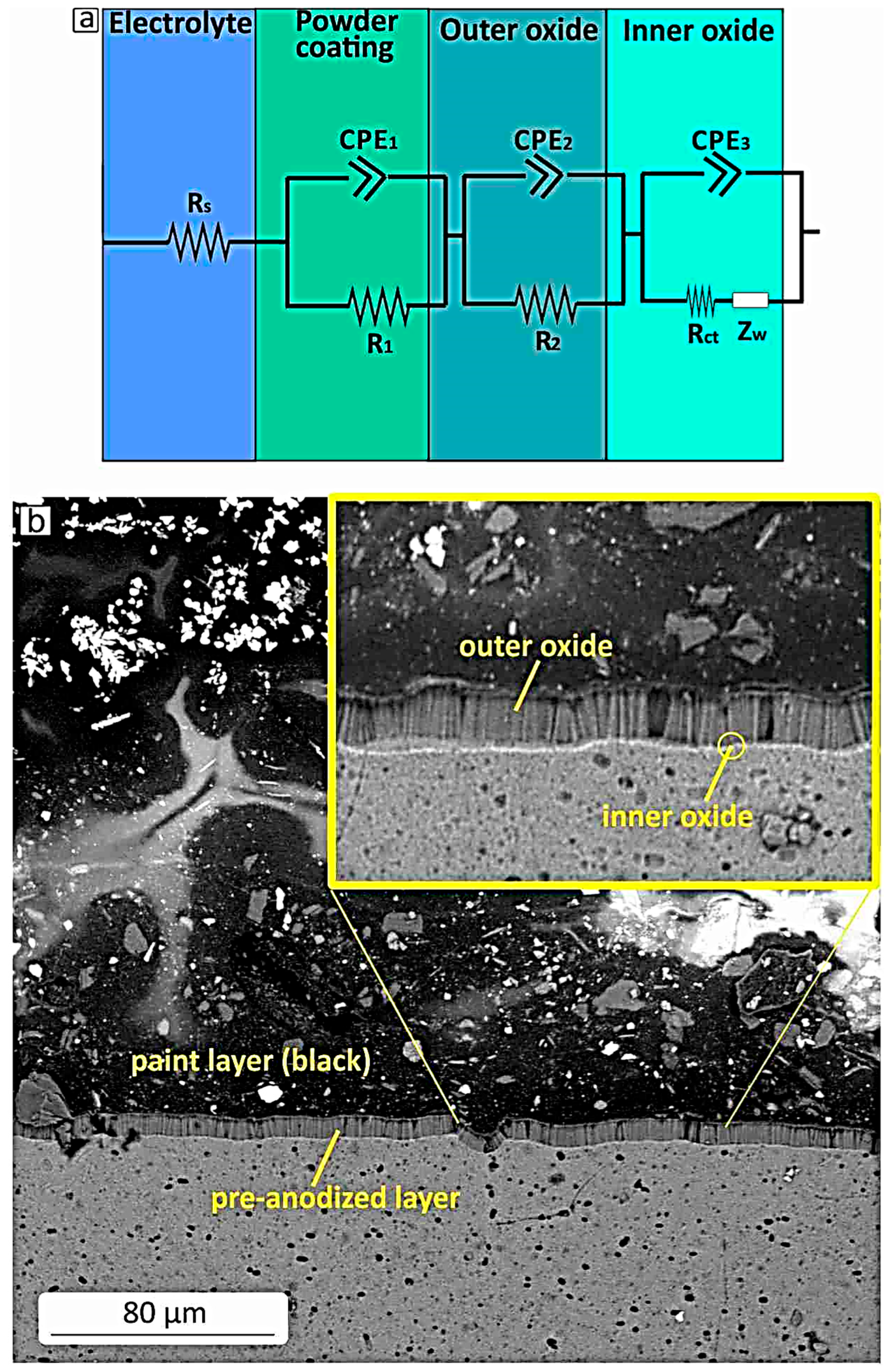 Metals 15 01062 g004