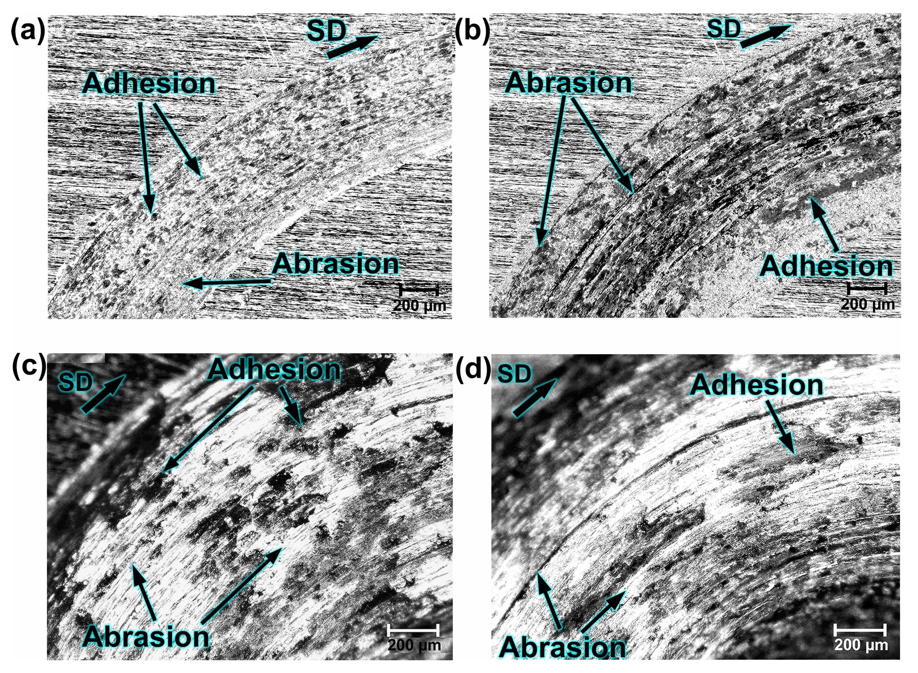 Metals 15 01076 g005 Metals 15 01076 g005