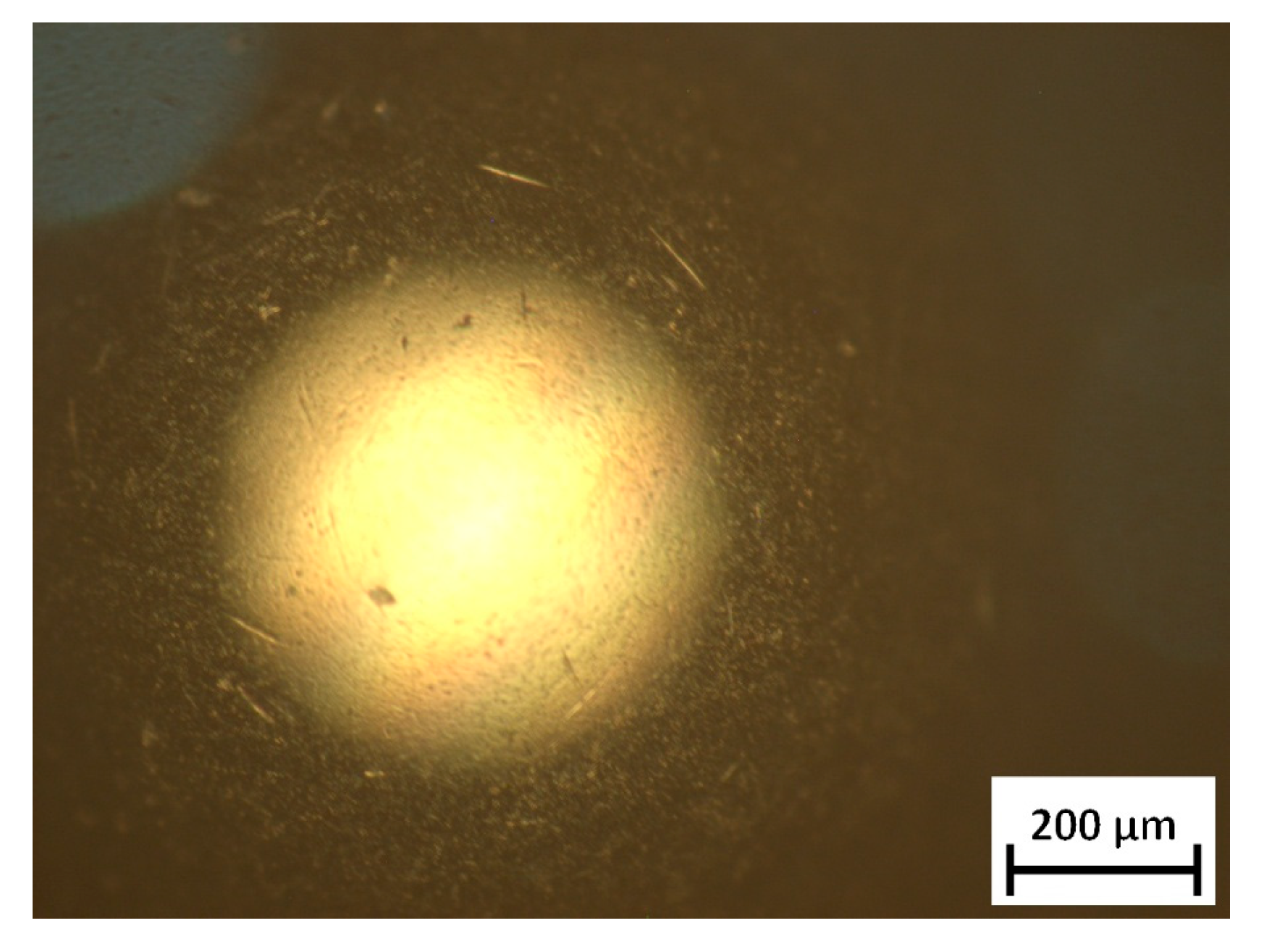 Metals 15 01076 g0a1 Metals 15 01076 g0a1