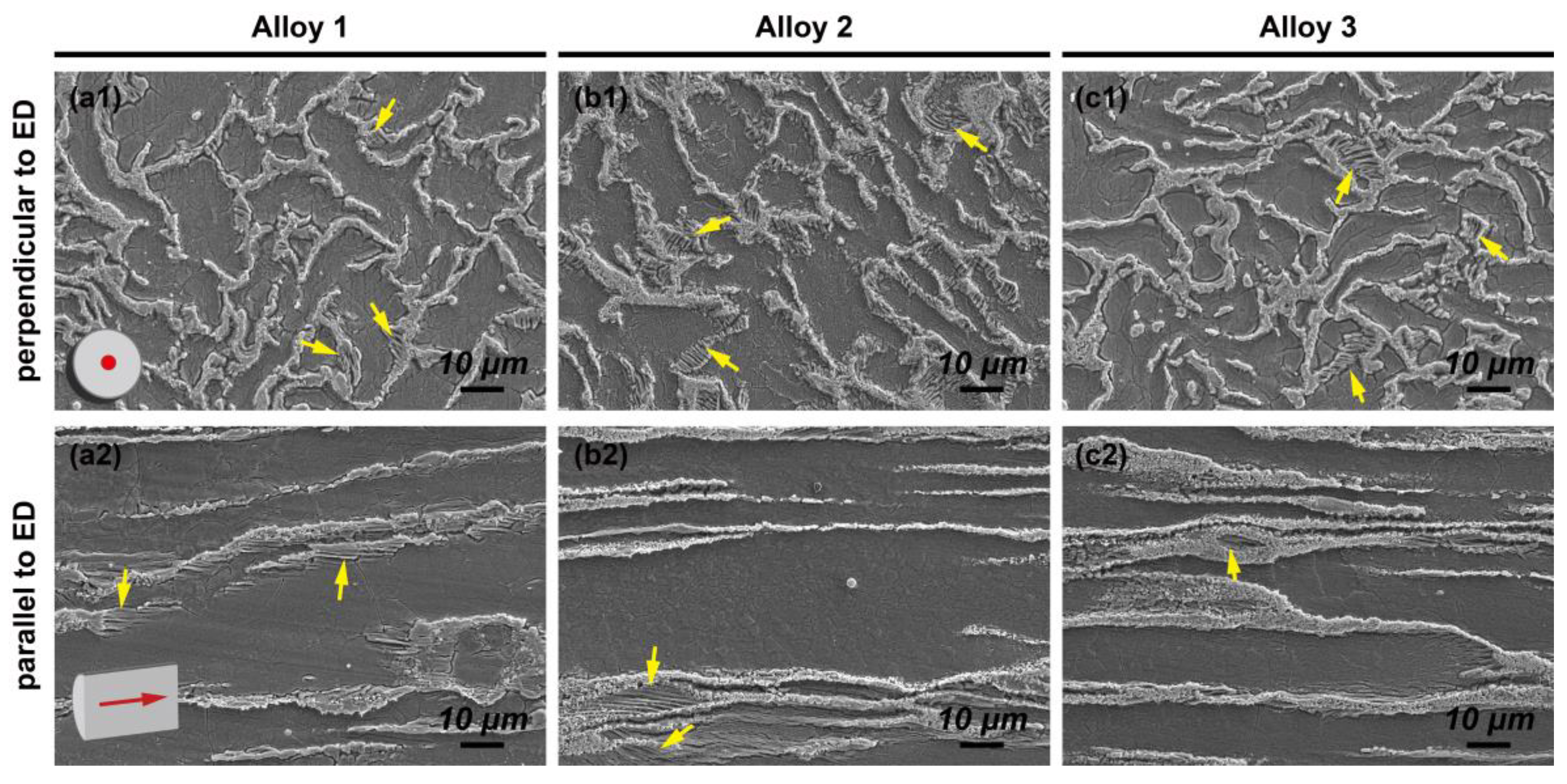 Metals 15 01077 g001