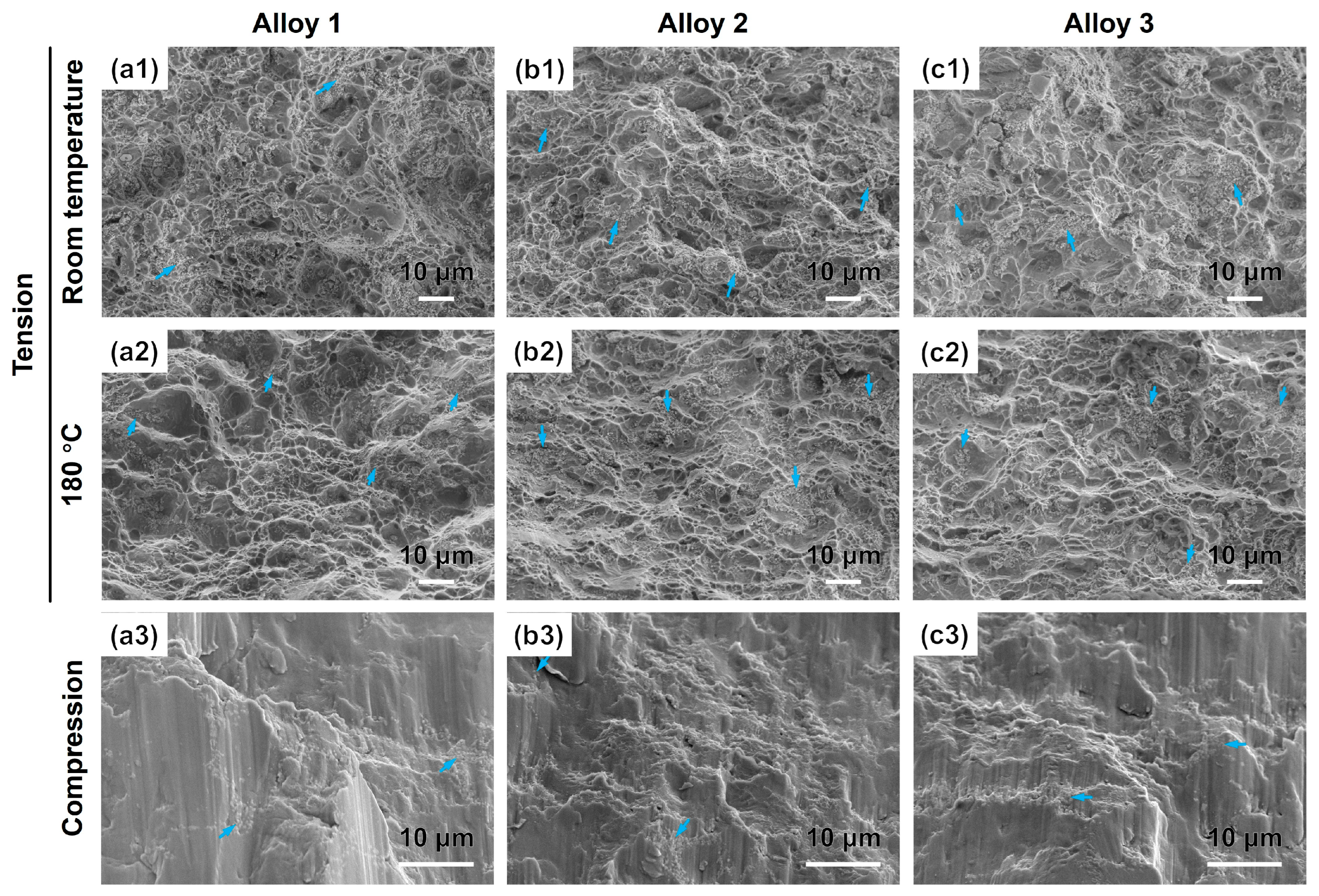 Metals 15 01077 g006
