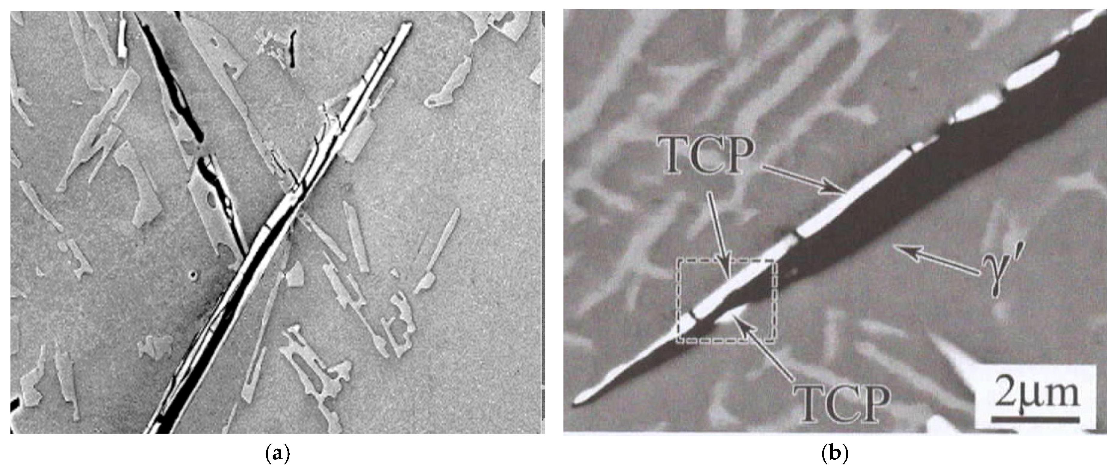 Metals 15 01084 g005