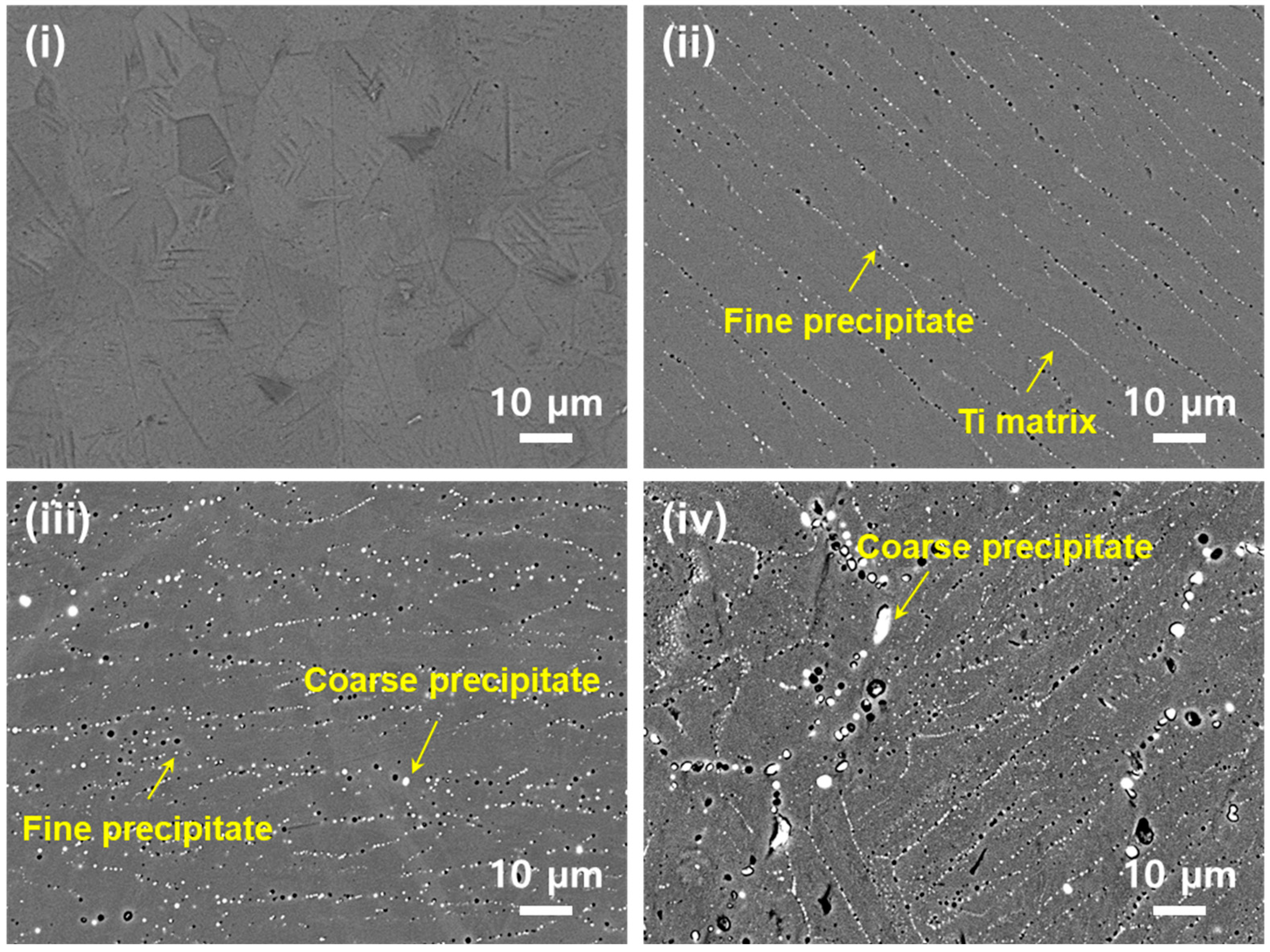 Metals 15 01094 g003
