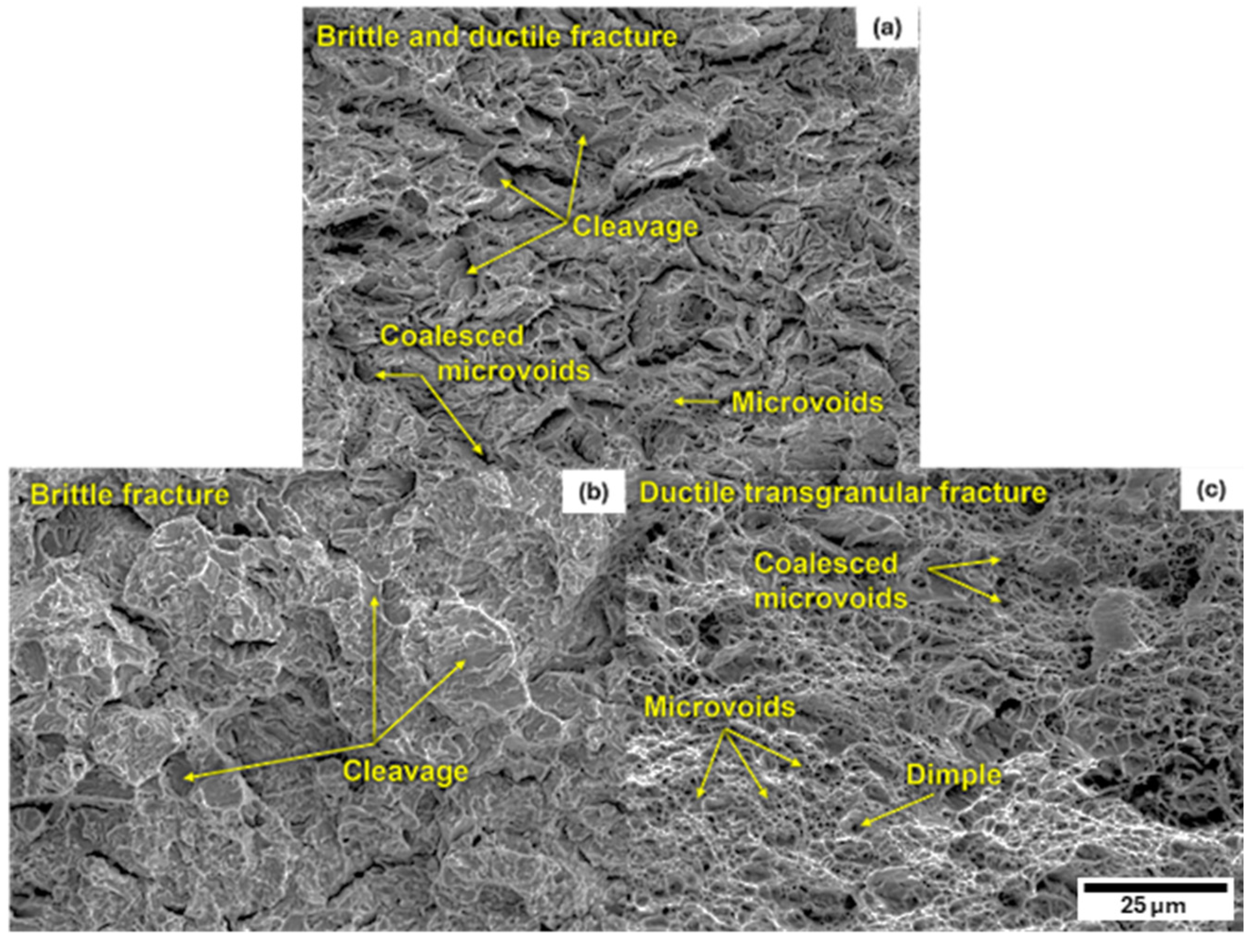 Metals 15 01096 g009