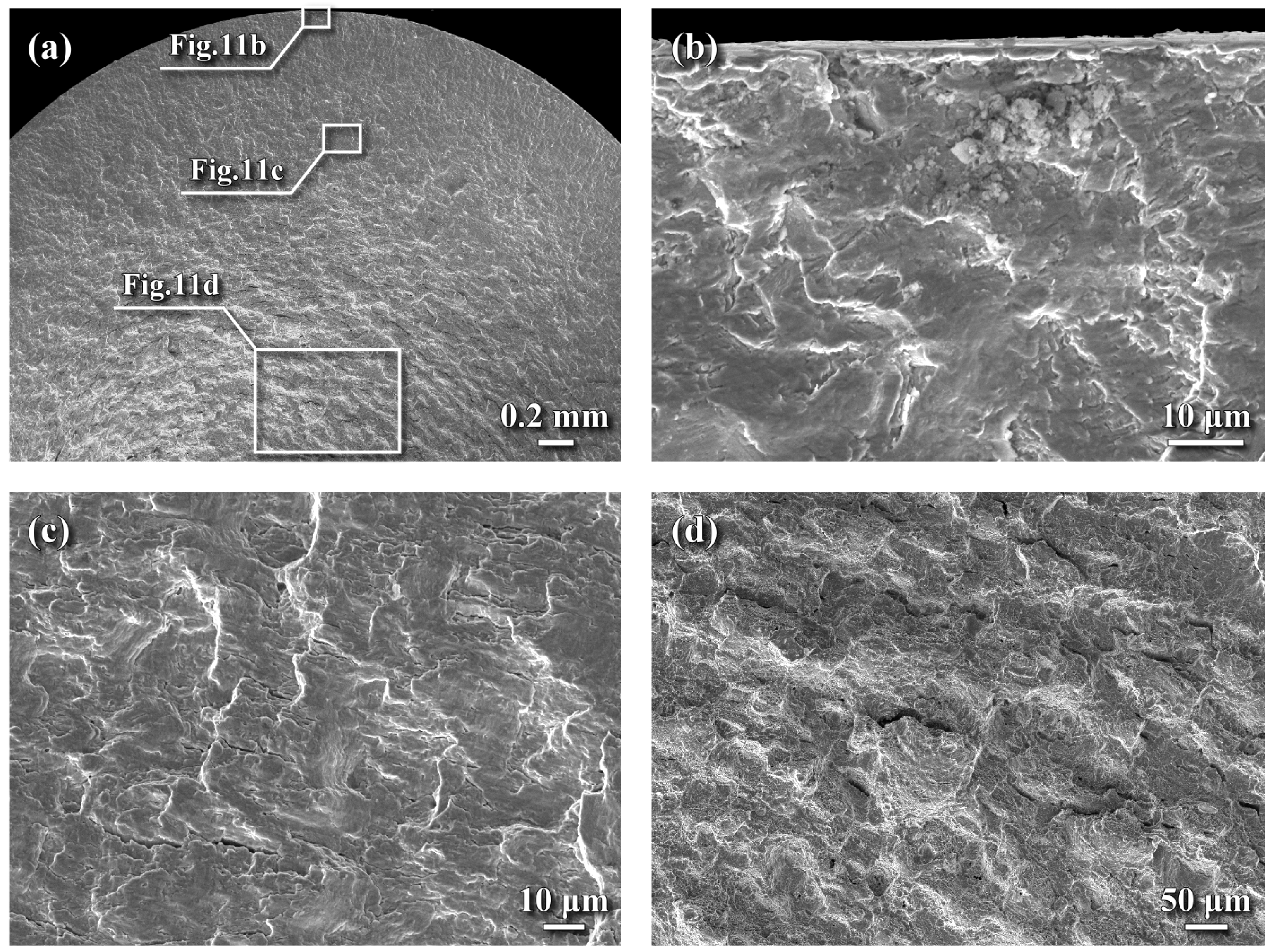 Metals 15 01118 g011