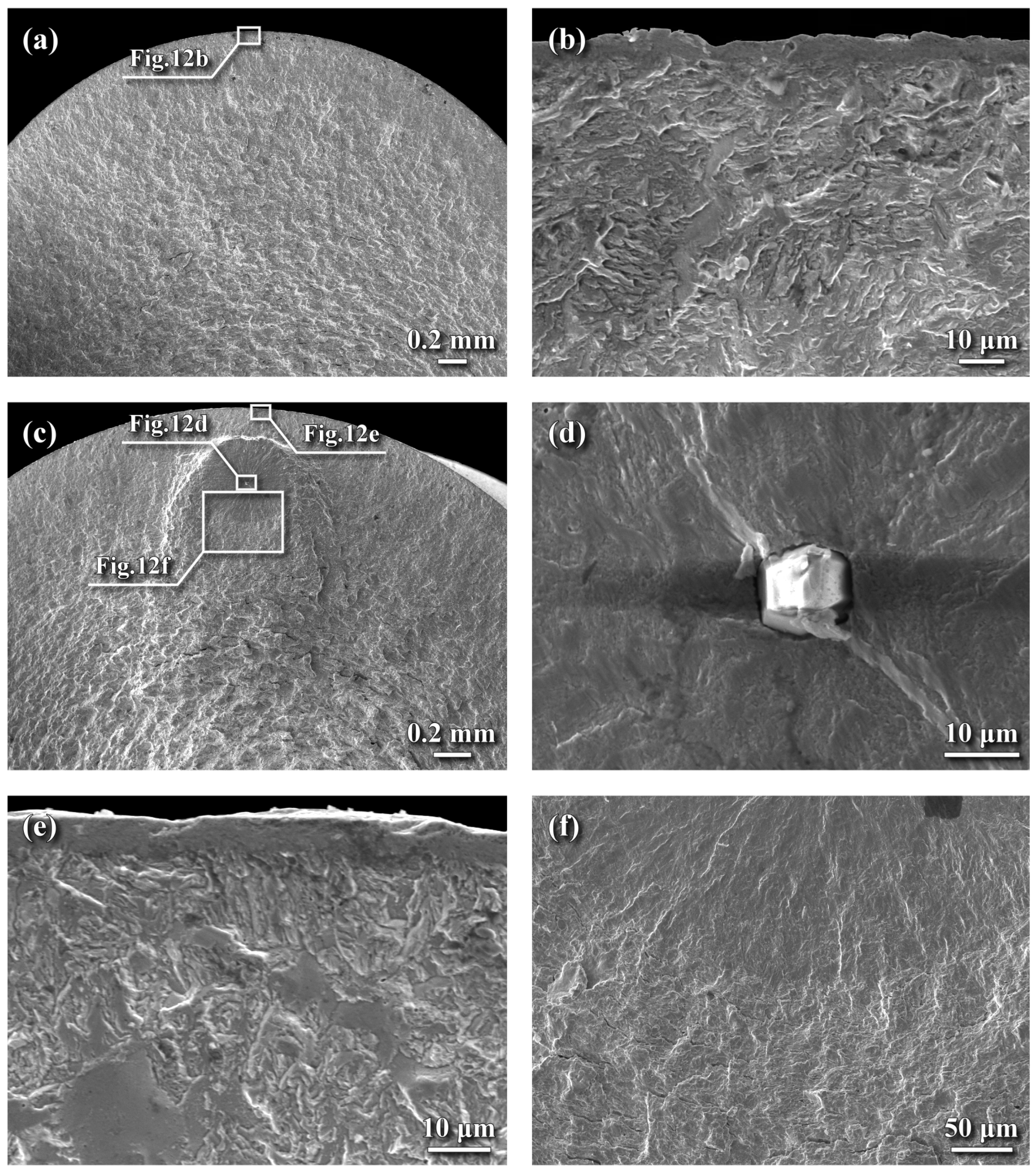 Metals 15 01118 g012