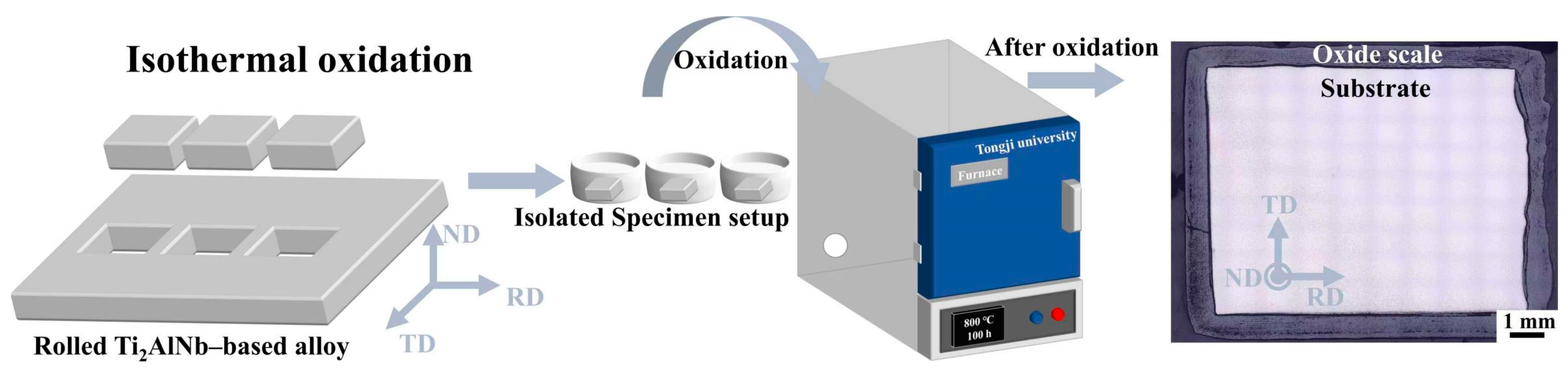 Metals 15 01120 g001