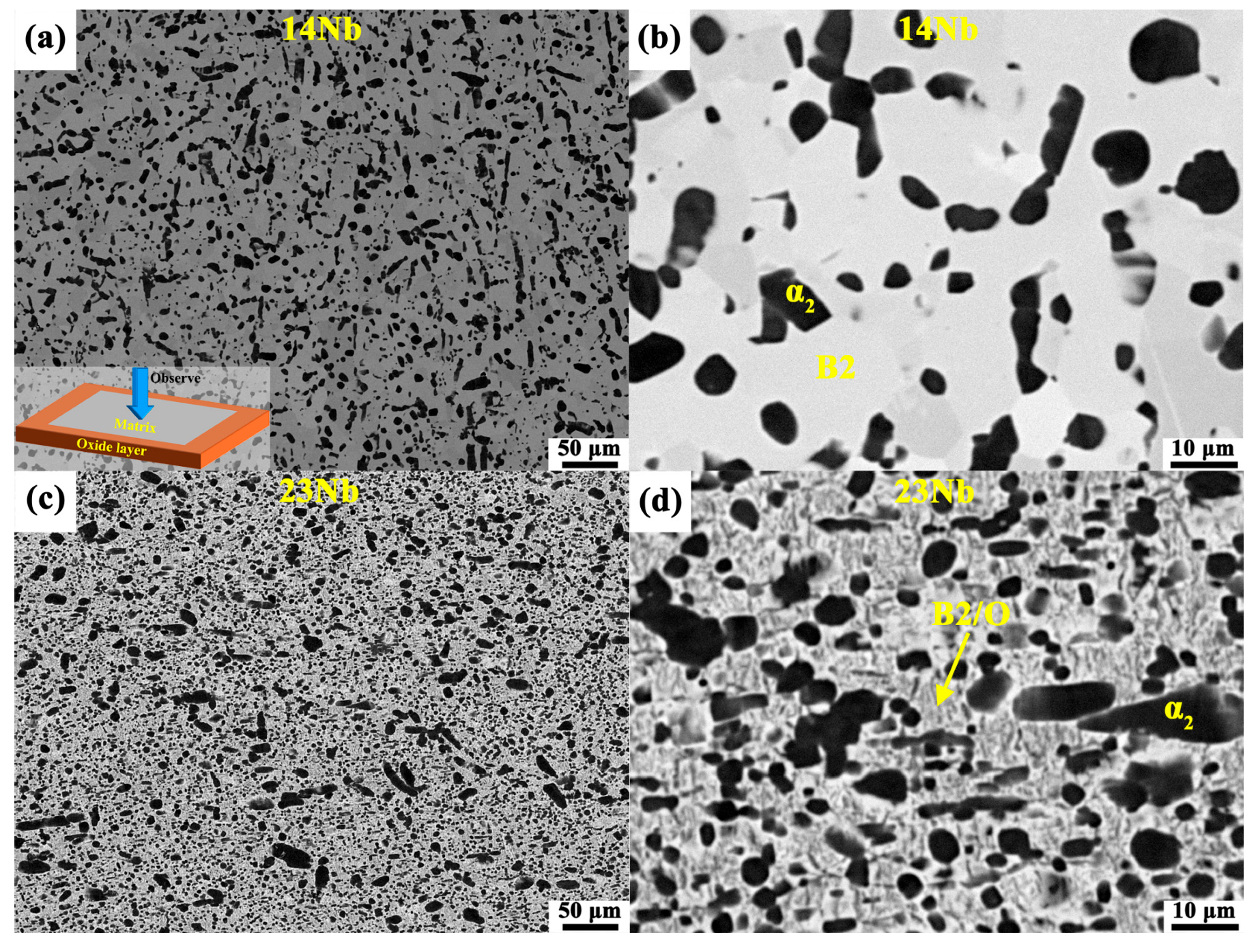 Metals 15 01120 g006