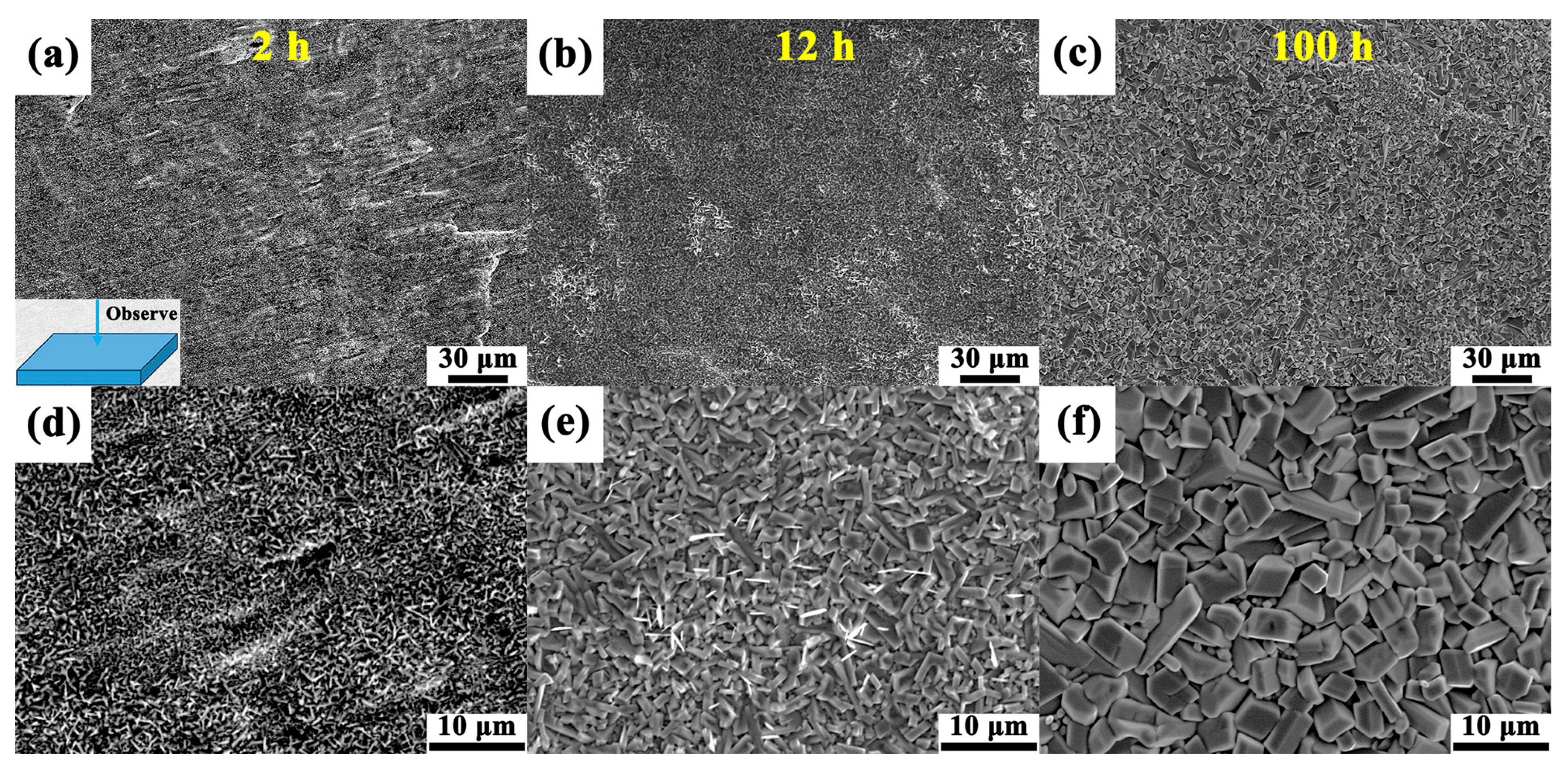 Metals 15 01120 g007