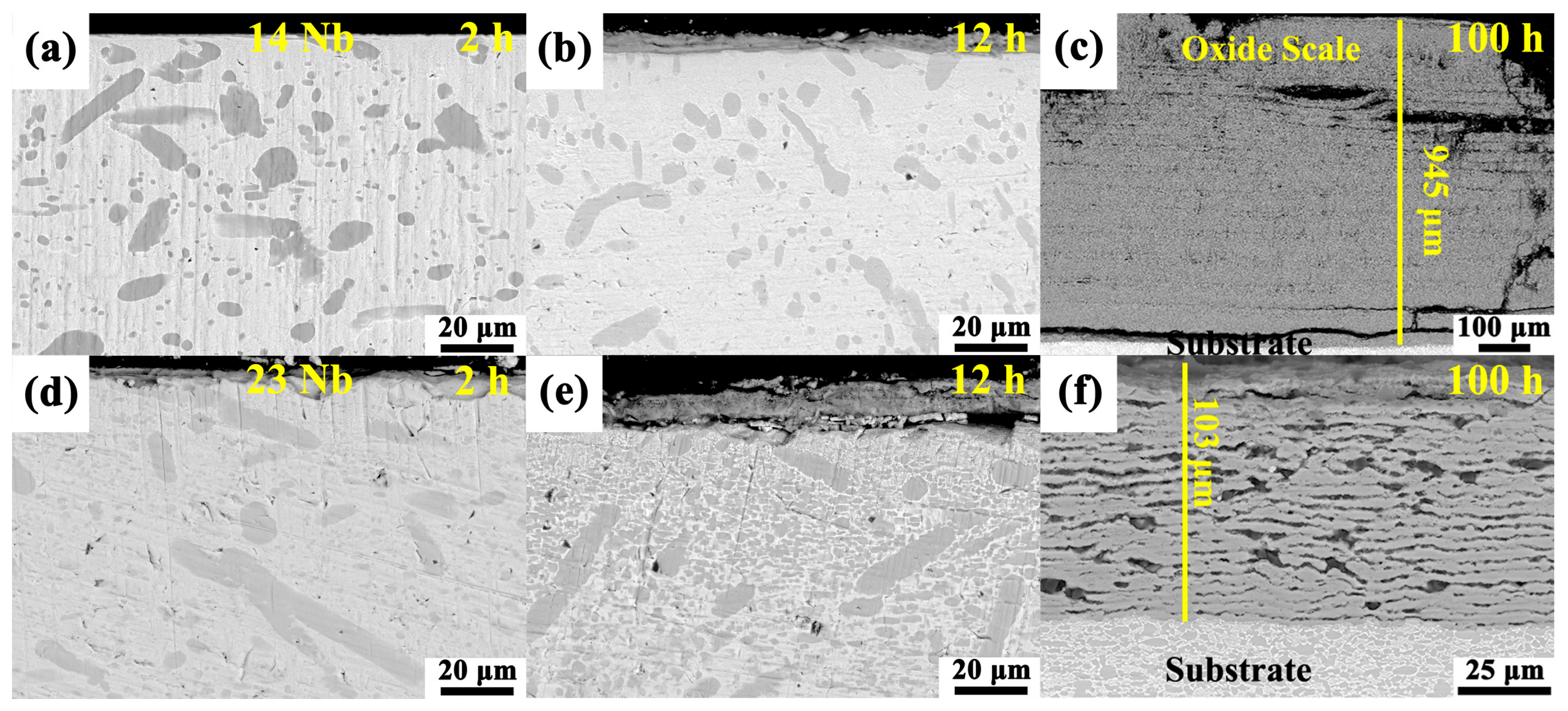 Metals 15 01120 g008