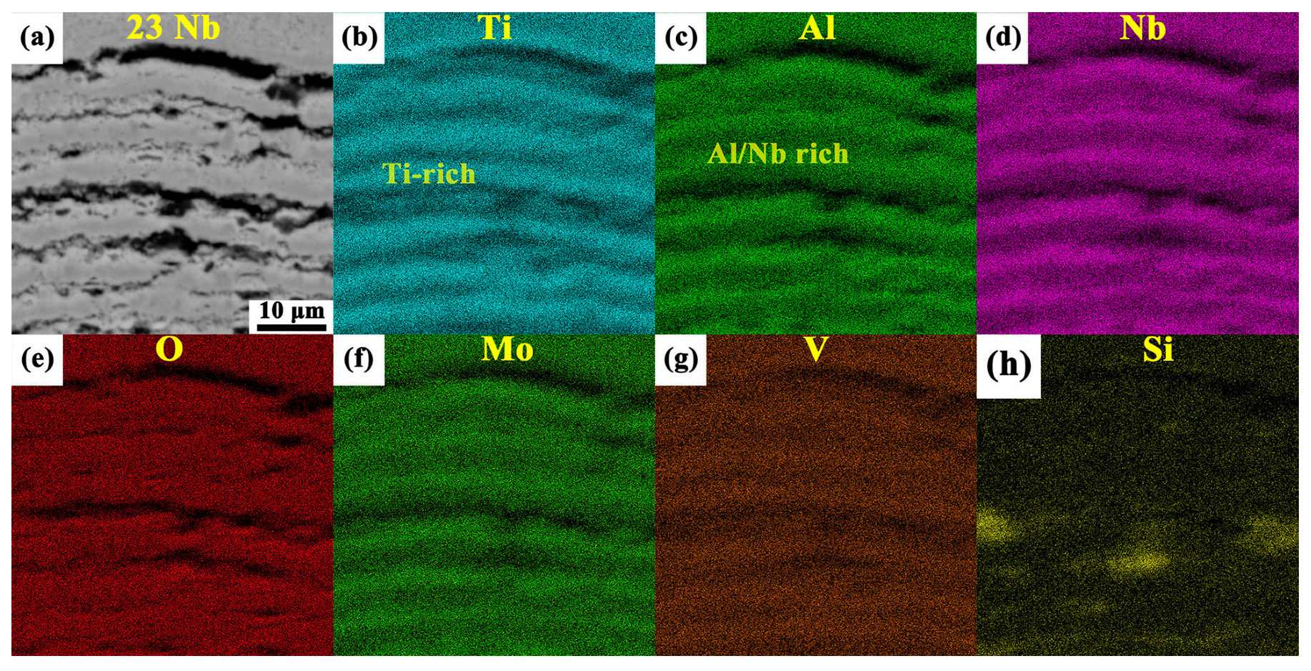 Metals 15 01120 g010
