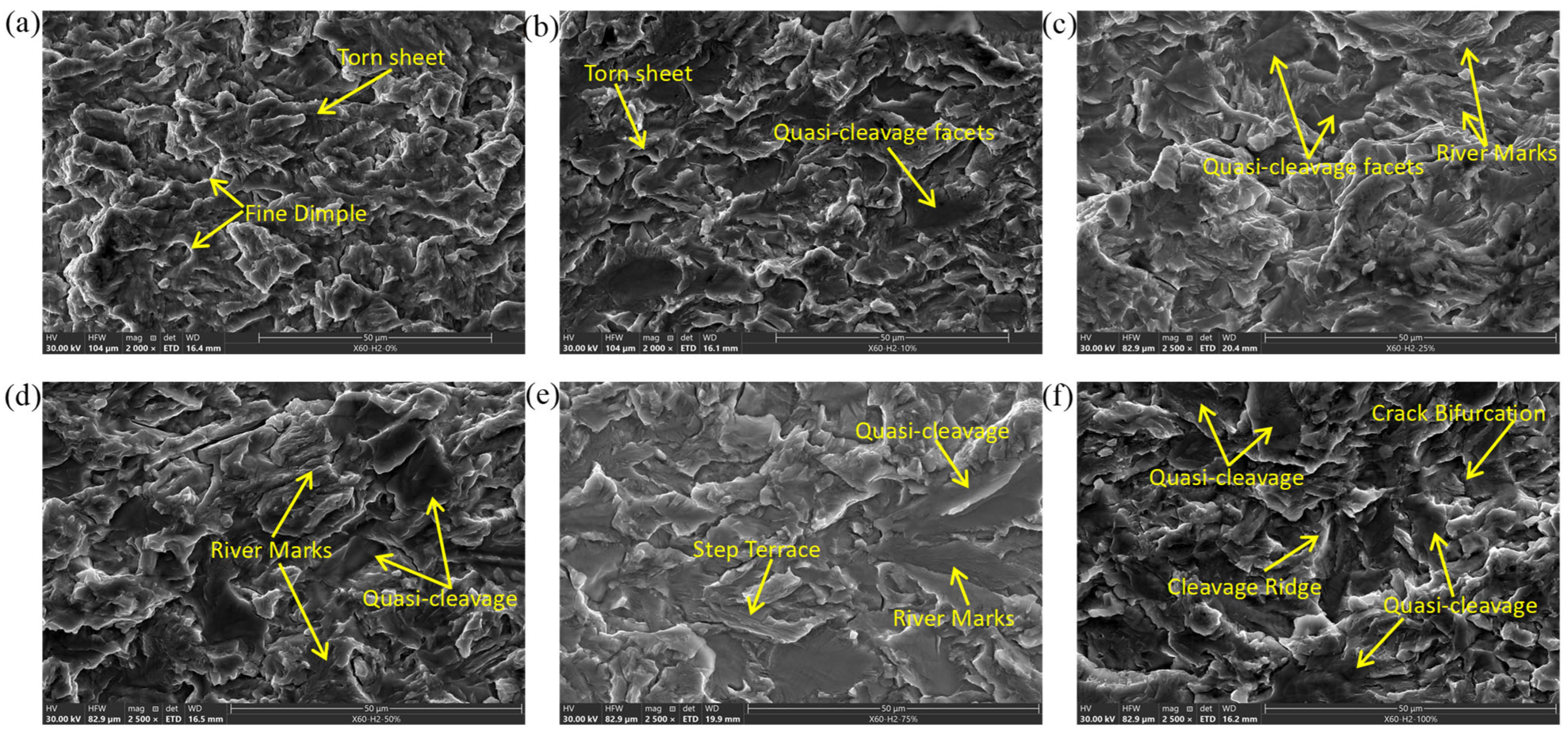 Metals 15 01125 g012