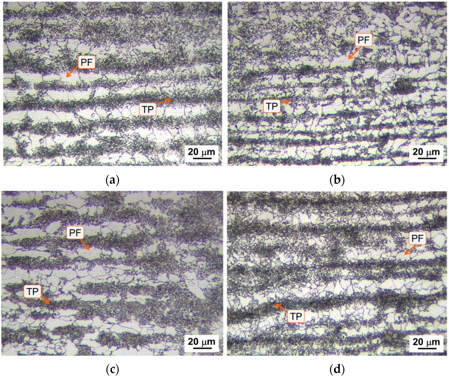 Metals 15 01127 g0a3 Metals 15 01127 g0a3