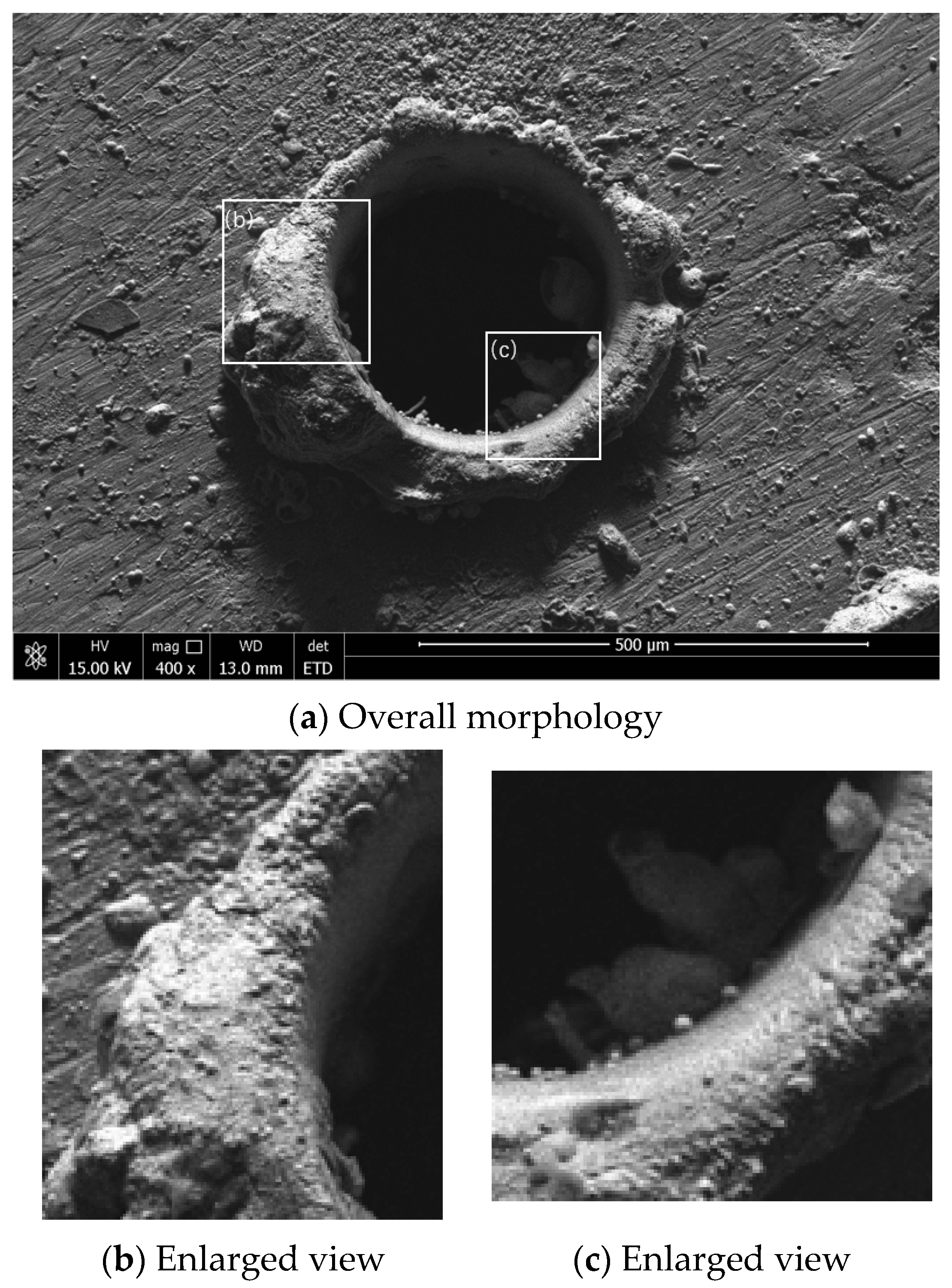 Metals 15 01138 g015 Metals 15 01138 g015