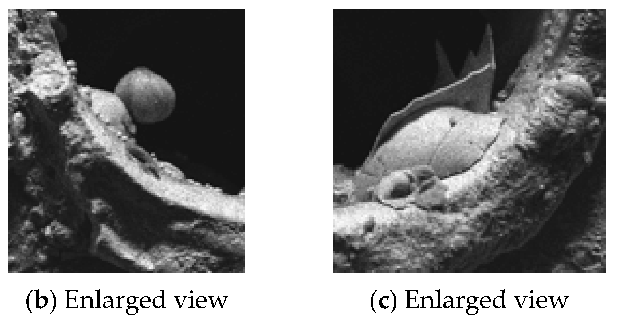 Metals 15 01138 g017b Metals 15 01138 g017b