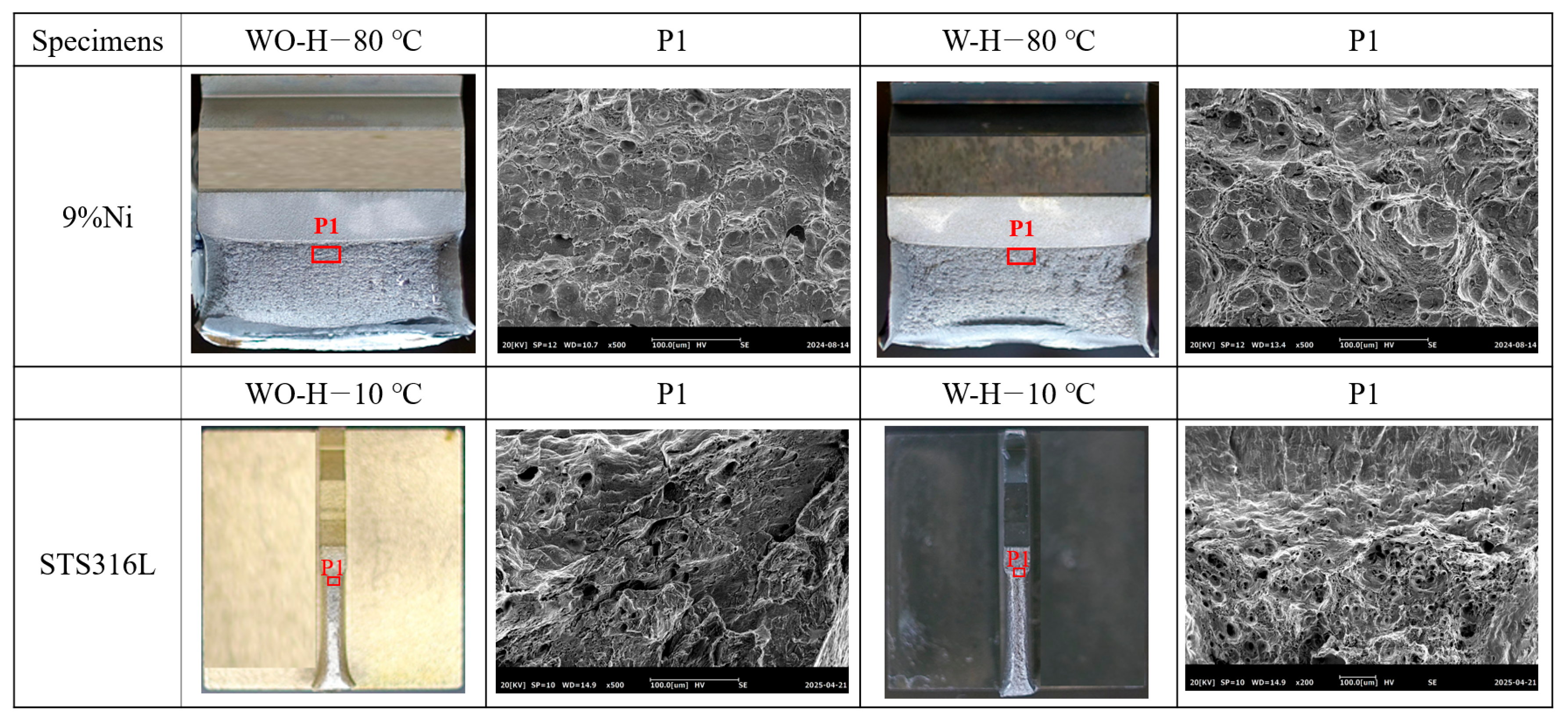 Metals 15 01139 g012